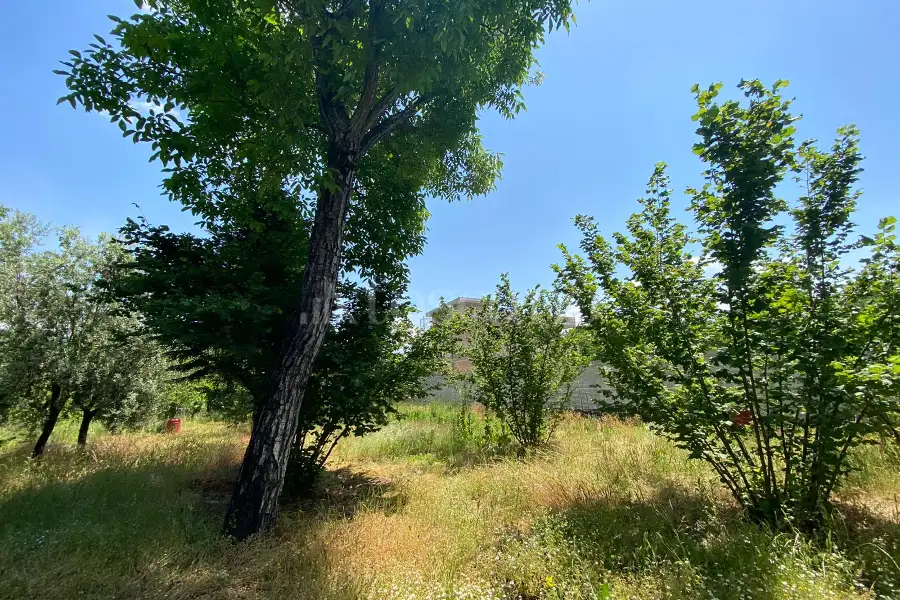 Agricolo in vendita di 7.000 mq a €65.000 (rif. 12/2025)