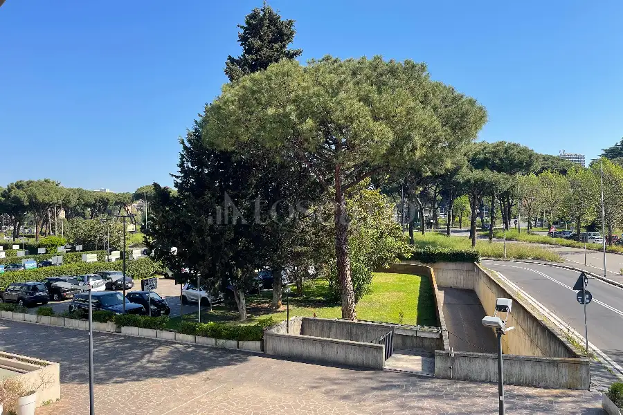 Ufficio in affitto di 497 mq a €9.800 (rif. 81/2023)