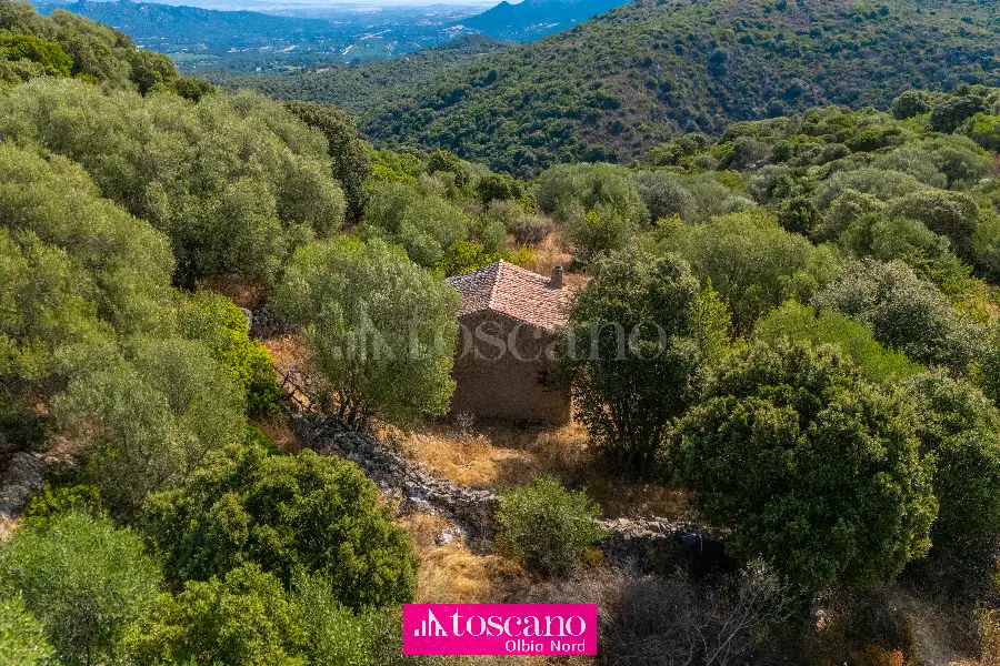 Agricolo in vendita di 176.937 mq a €170.000 (rif. 49/2026)