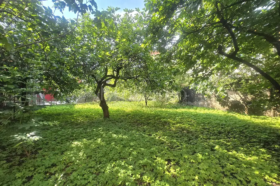 Villa in vendita di 250 mq a €415.000 (rif. 44/2026)