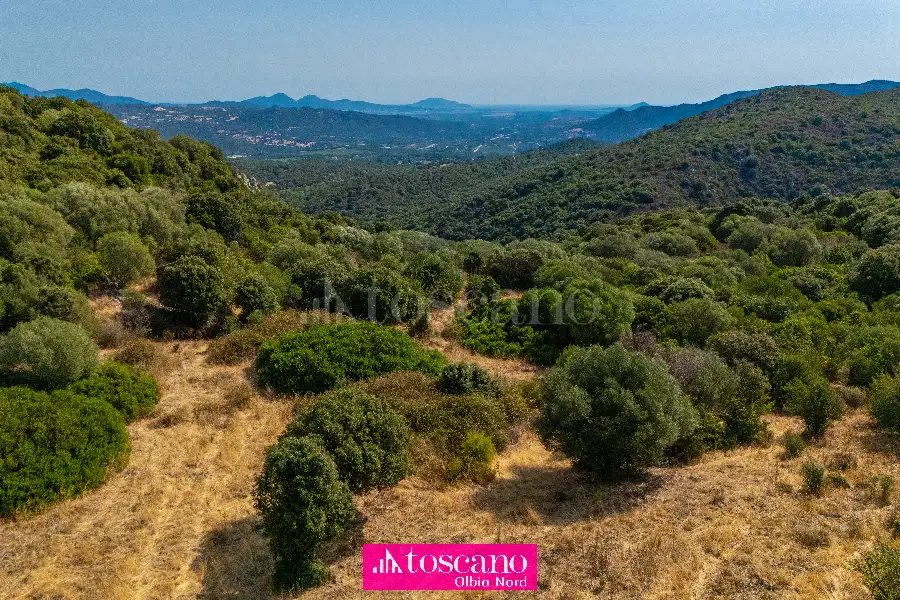 Agricolo in vendita di 176.937 mq a €170.000 (rif. 49/2026)