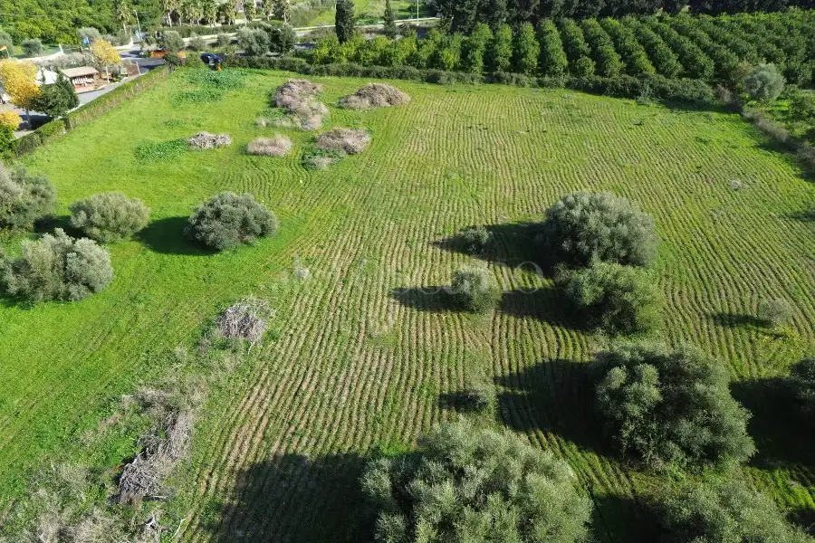 Edificabile Residenziali in vendita di 25.000 mq a €335.000 (rif. 137/2025)
