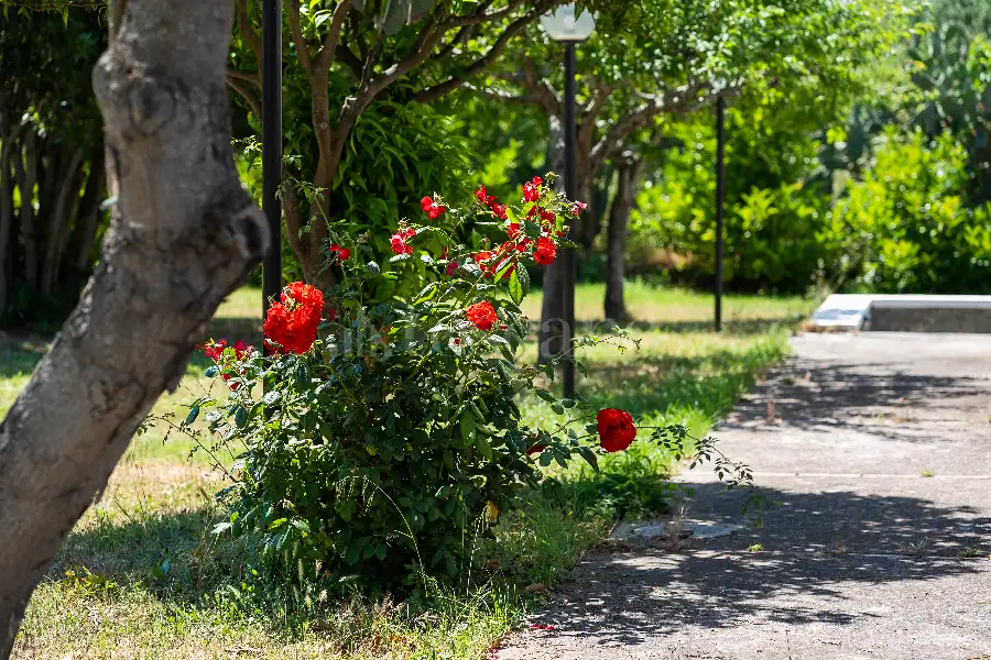 Villa in vendita di 230 mq a €1.200.000 (rif. 2/2026)