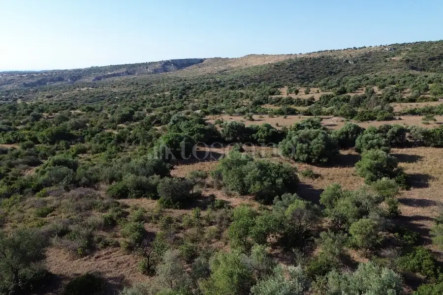 Agricolo in vendita di 130.000 mq a €149.000 (rif. 95/2025)