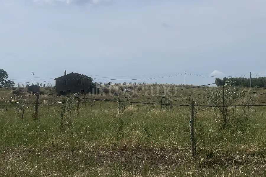 Agricolo in vendita di 60.000 mq a €170.000 (rif. 25/2026)