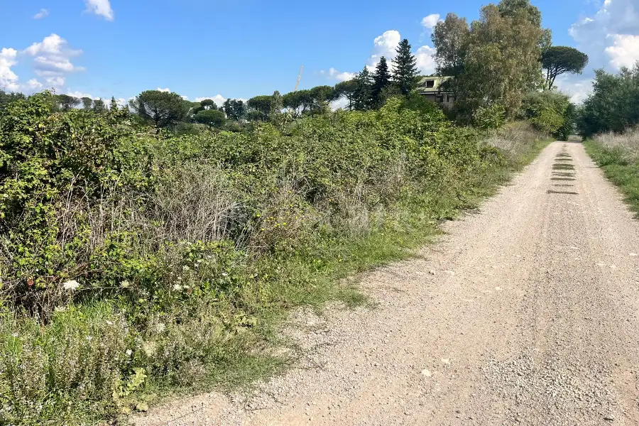 Edificabile Residenziali in vendita di 2.212 mq a €269.000 (rif. 41/2025)