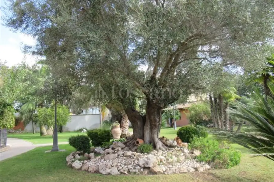 Villa in vendita di 350 mq a €1.890.000 (rif. 98/2024)