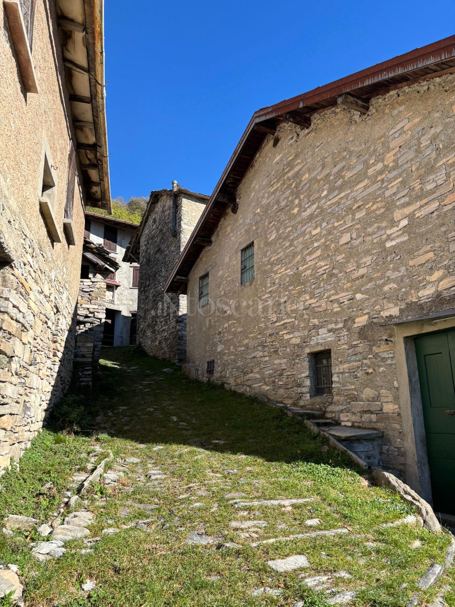 immagine annuncio 12 di 14