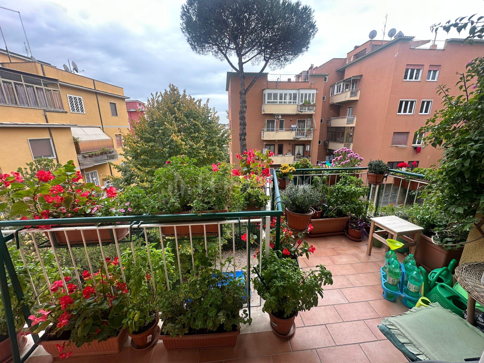 immagine annuncio 11 di 14