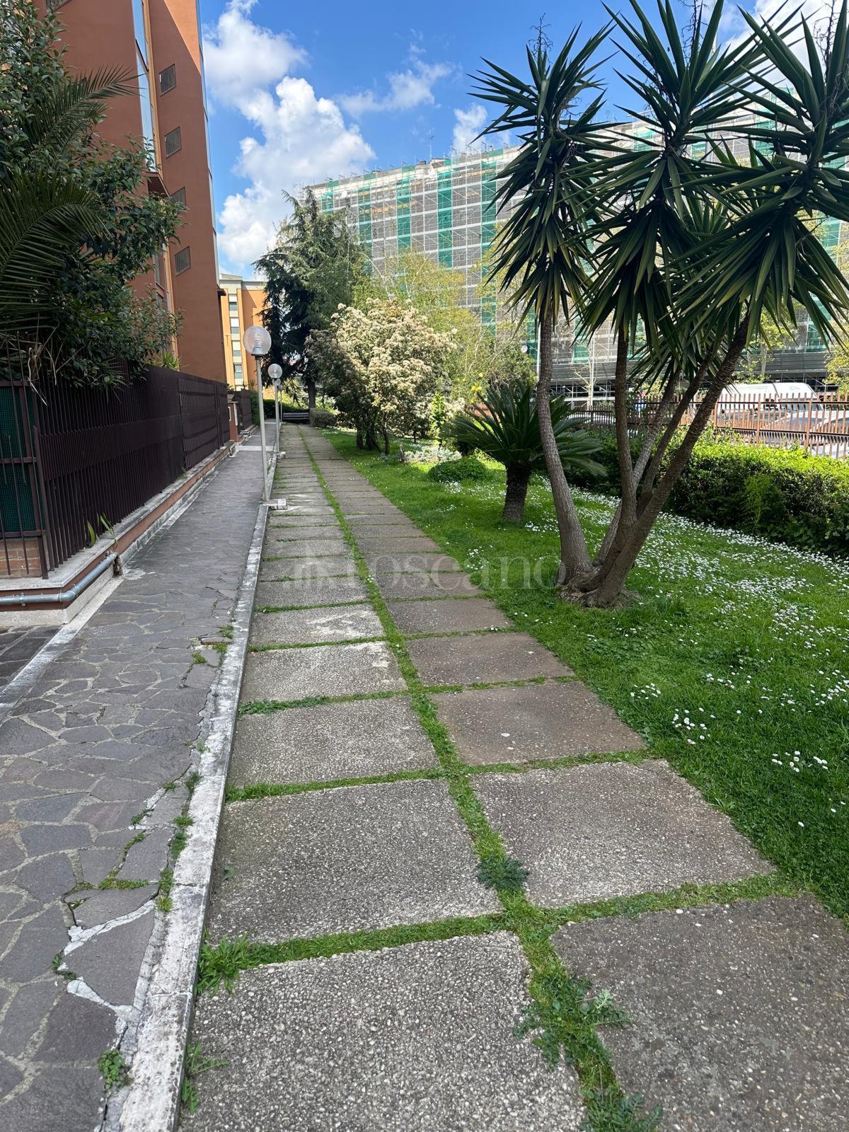 immagine annuncio 5 di 8