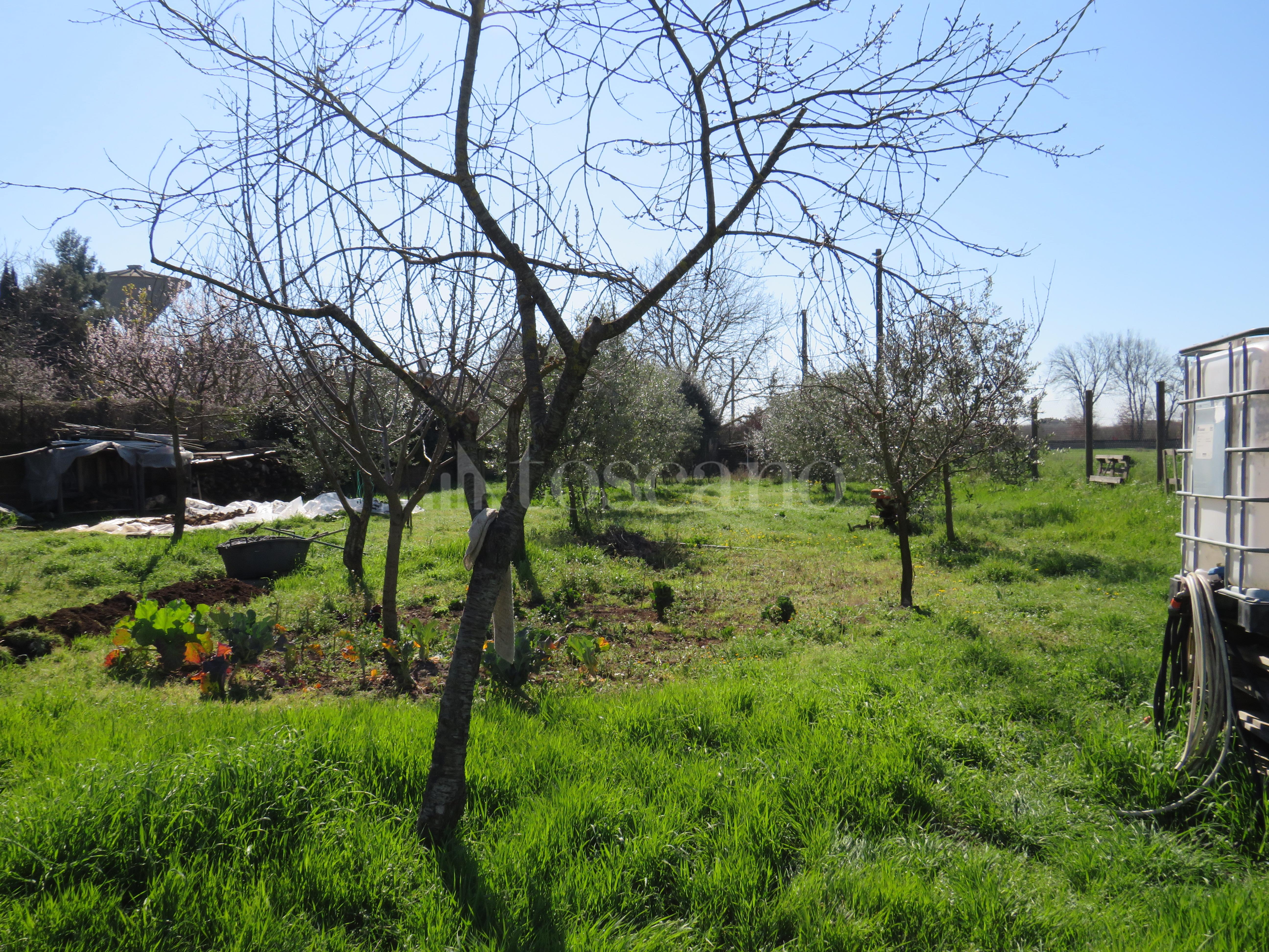 immagine annuncio 3 di 4