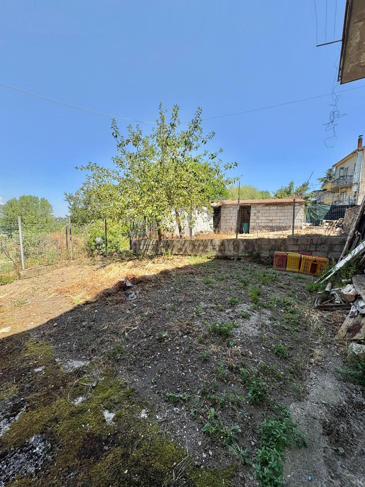 immagine annuncio 9 di 14