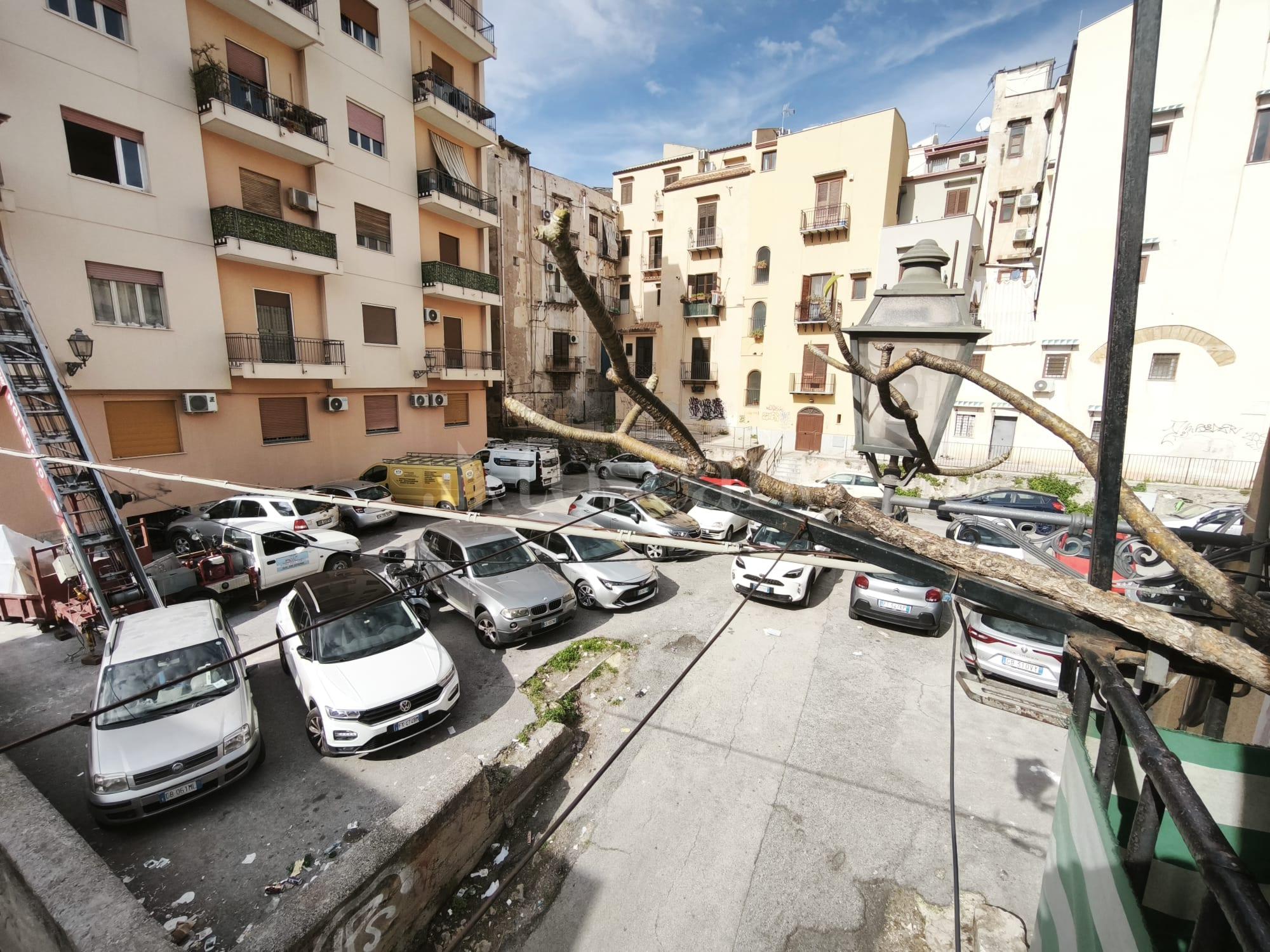 immagine annuncio 5 di 8