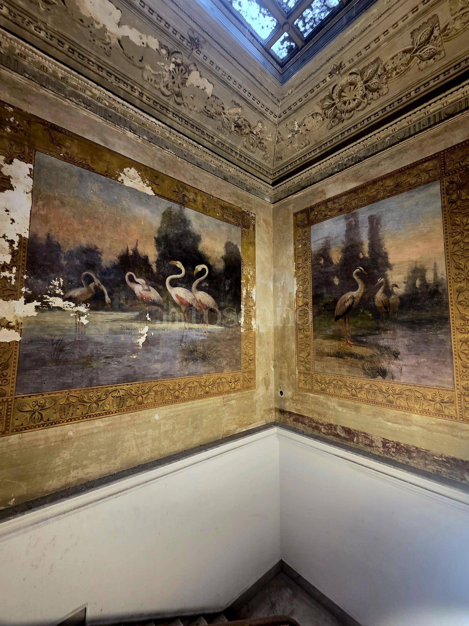 immagine annuncio 4 di 13