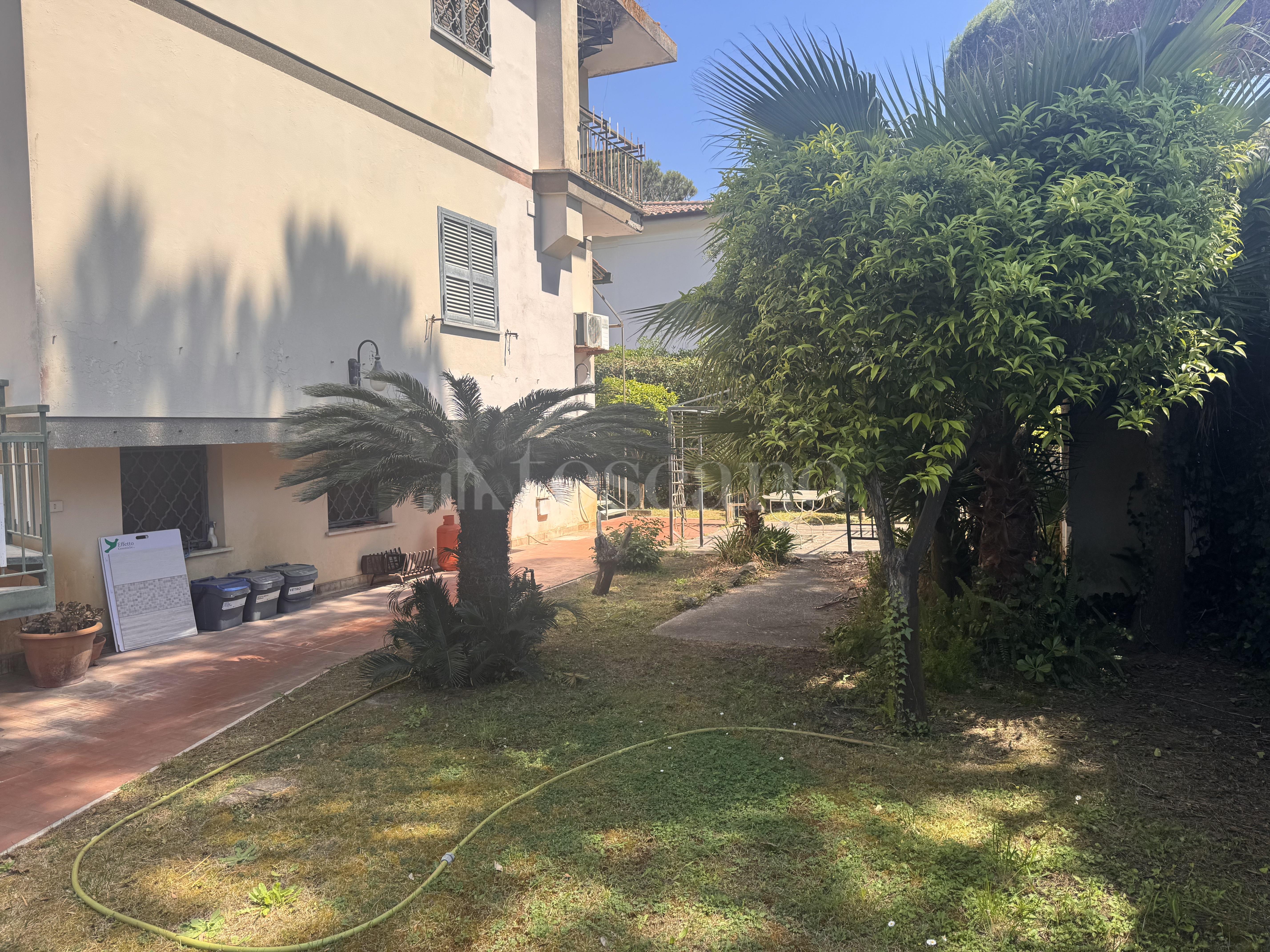 immagine annuncio 4 di 8