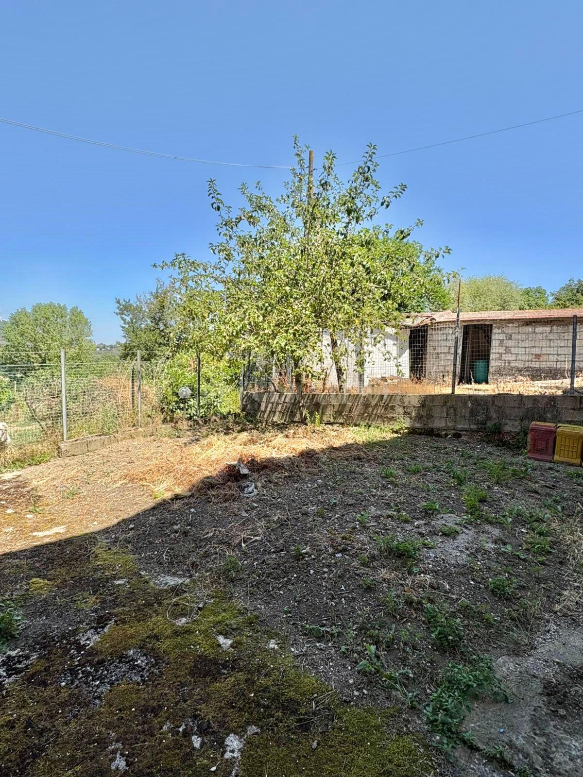 immagine annuncio 6 di 14