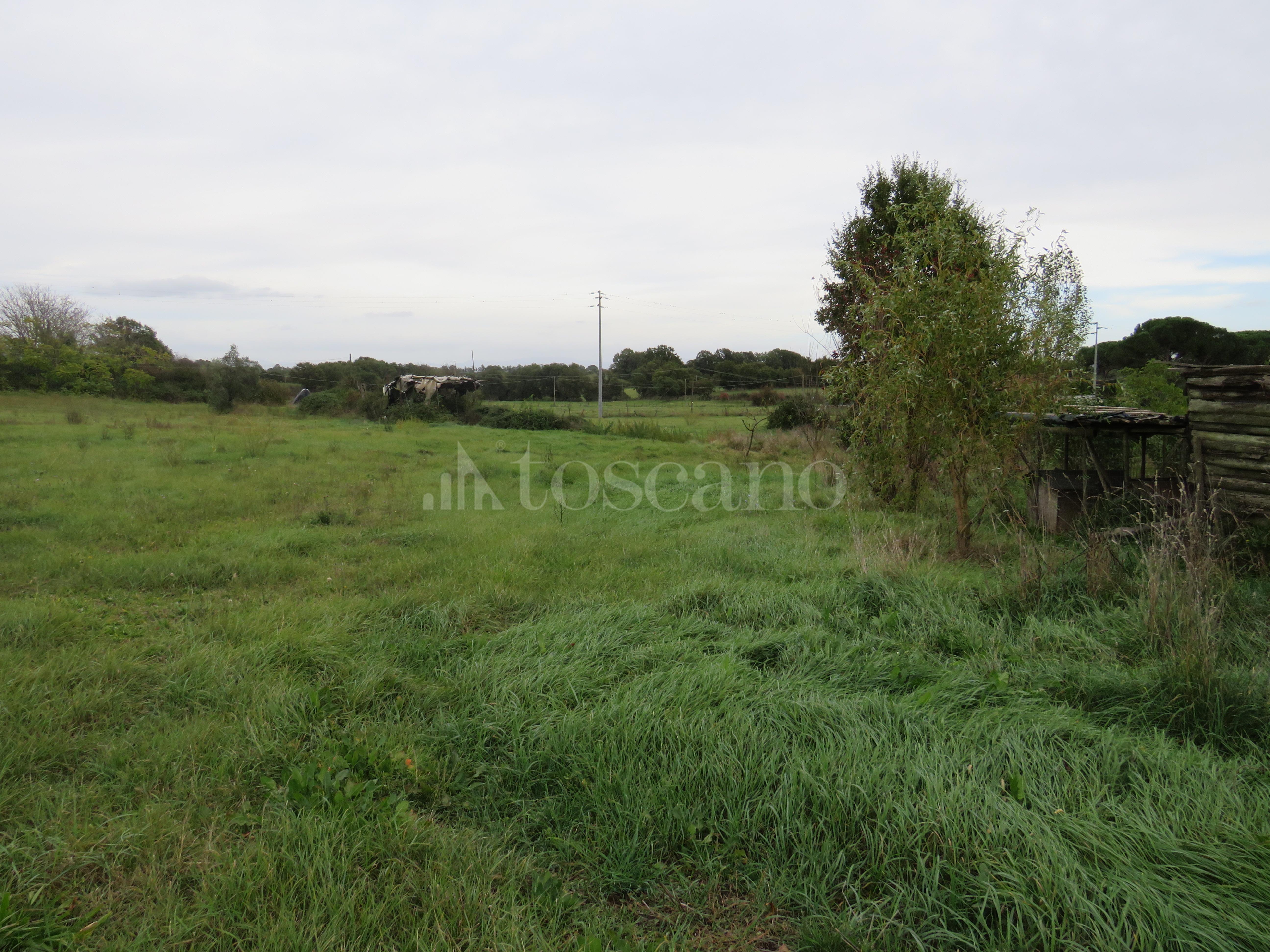 immagine annuncio 11 di 14