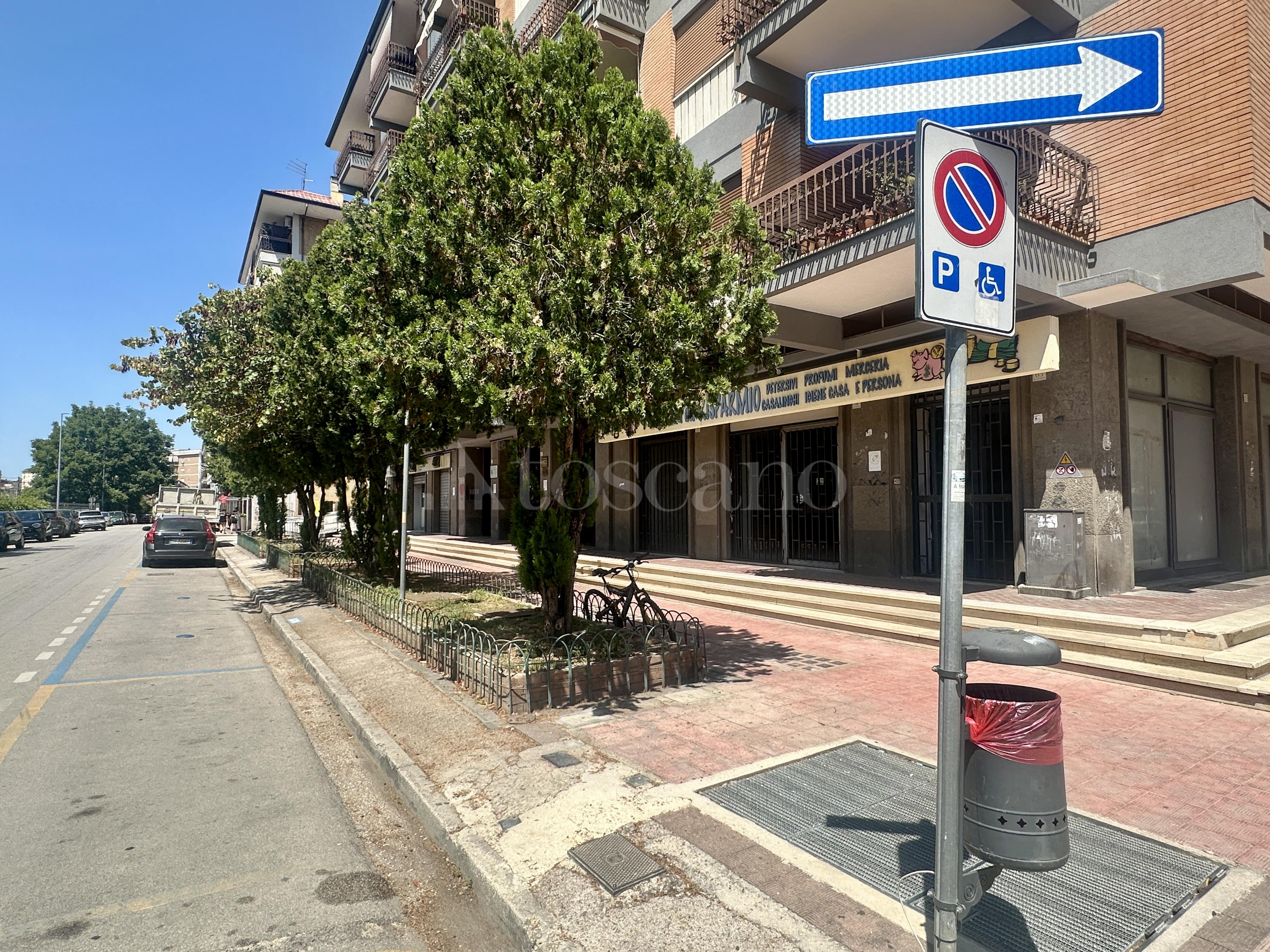 immagine annuncio 4 di 11