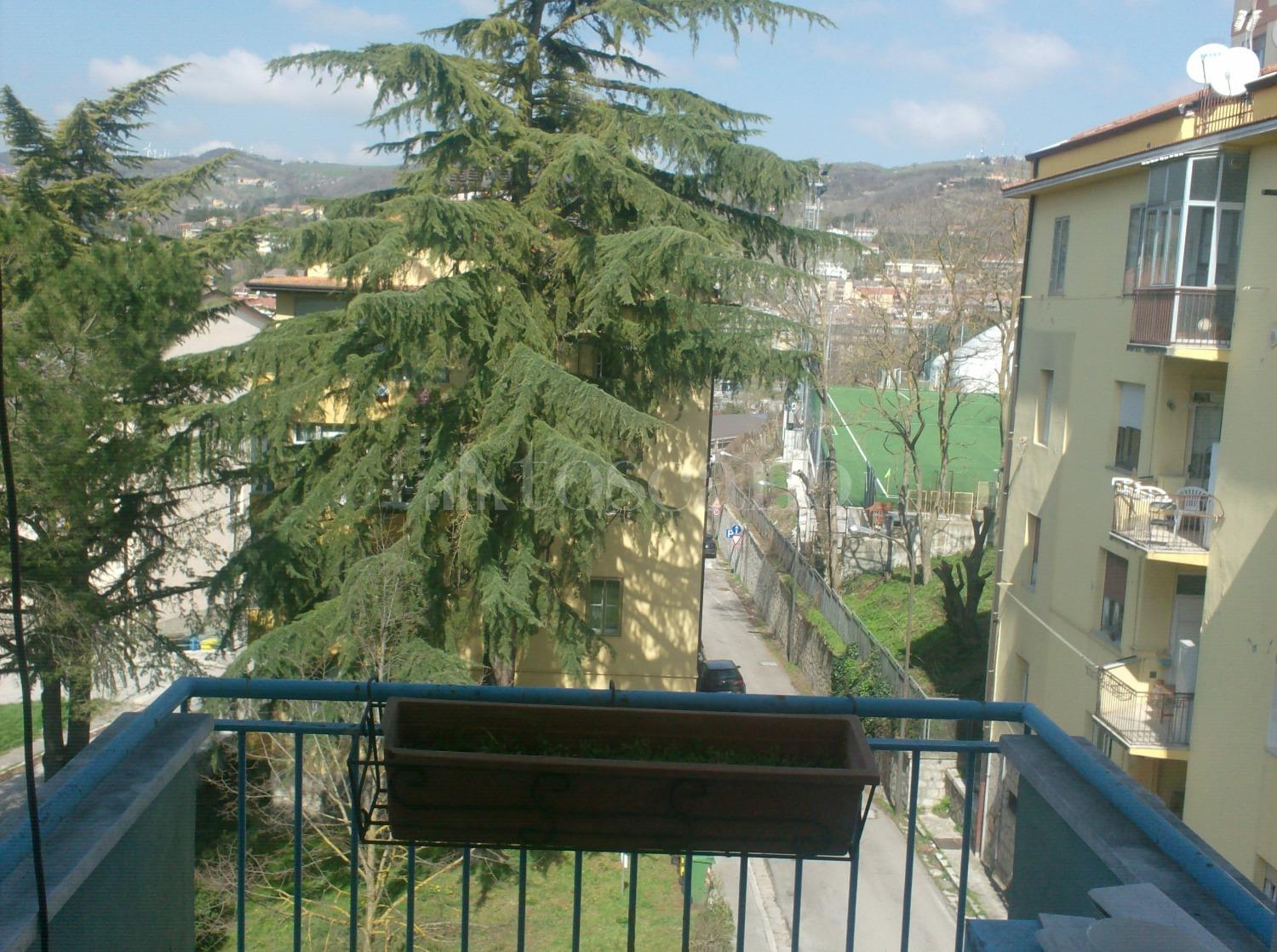 immagine annuncio 5 di 14