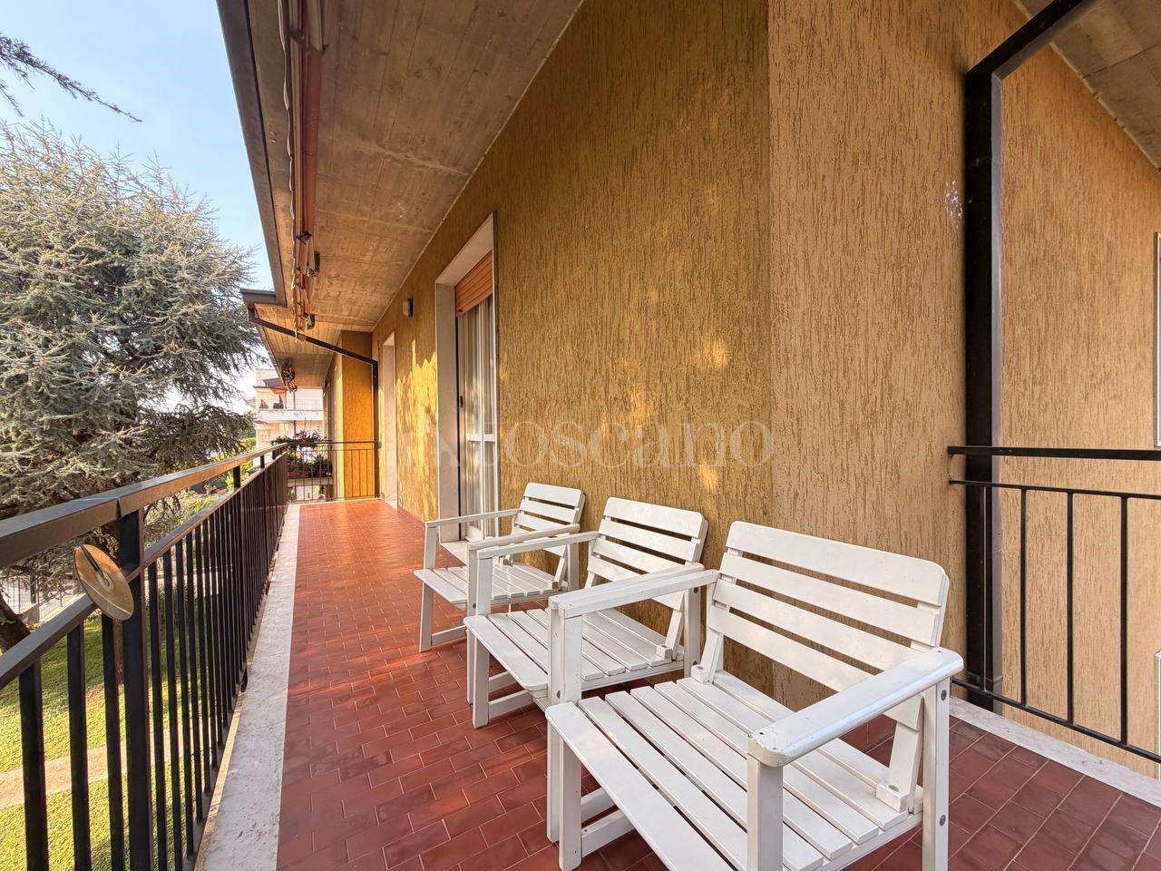 immagine annuncio 6 di 14