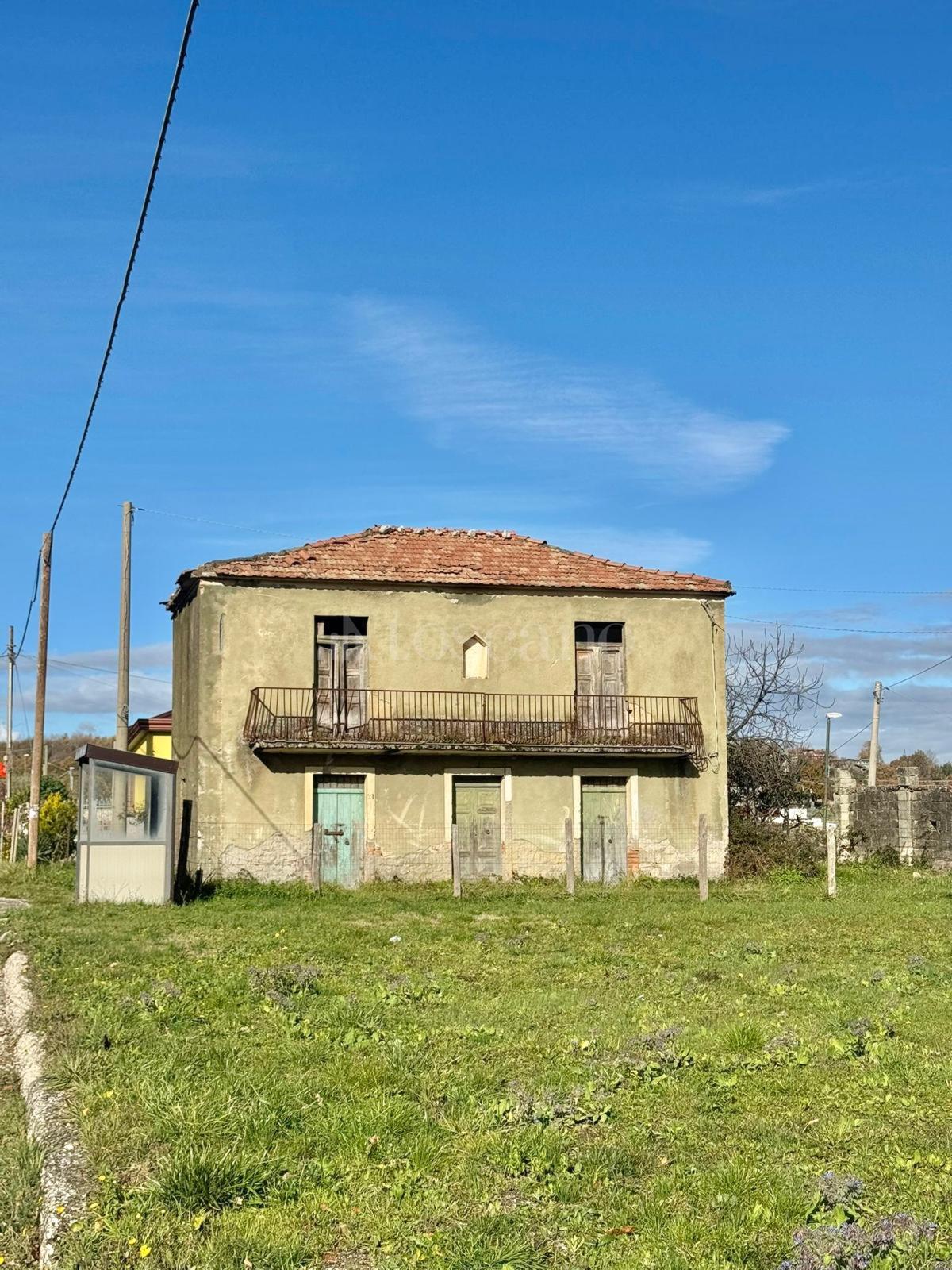 immagine annuncio 6 di 14