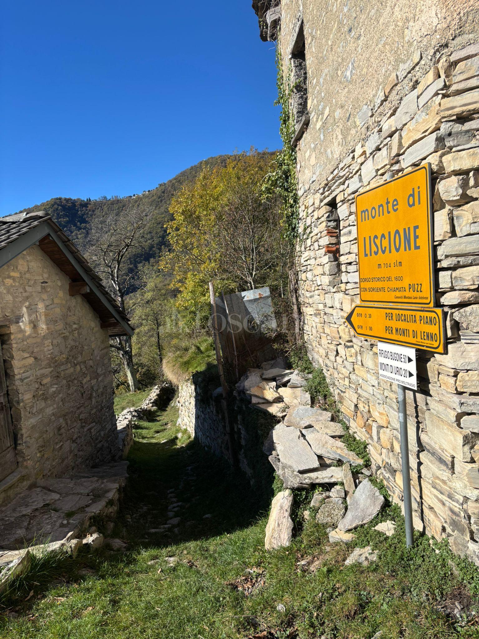 immagine annuncio 5 di 14