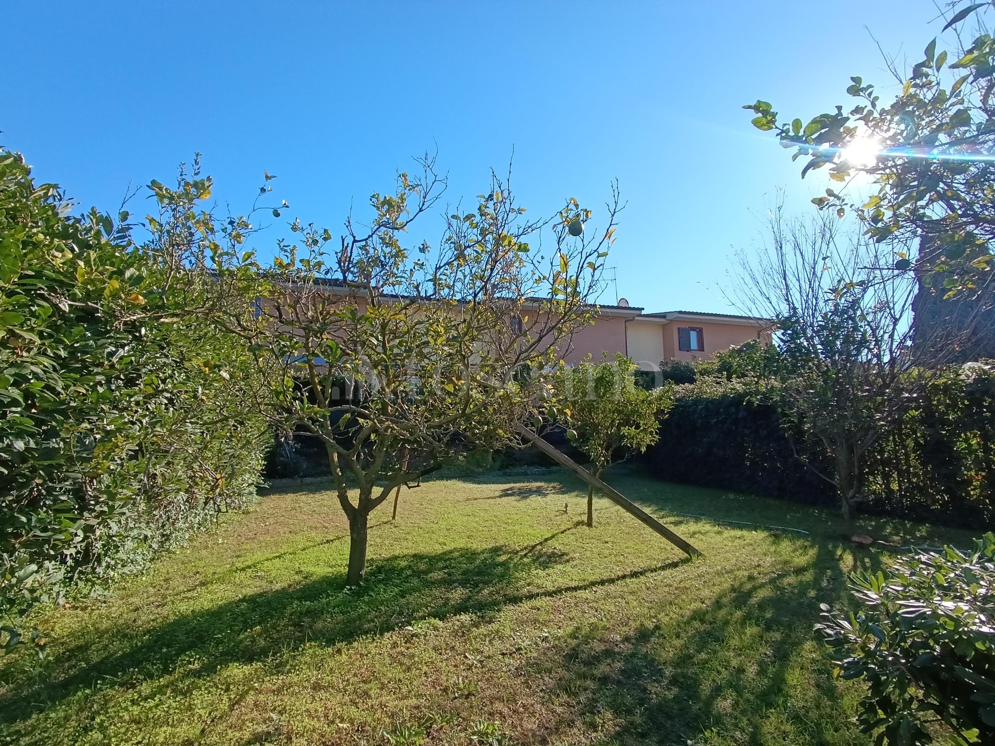 immagine annuncio 13 di 15