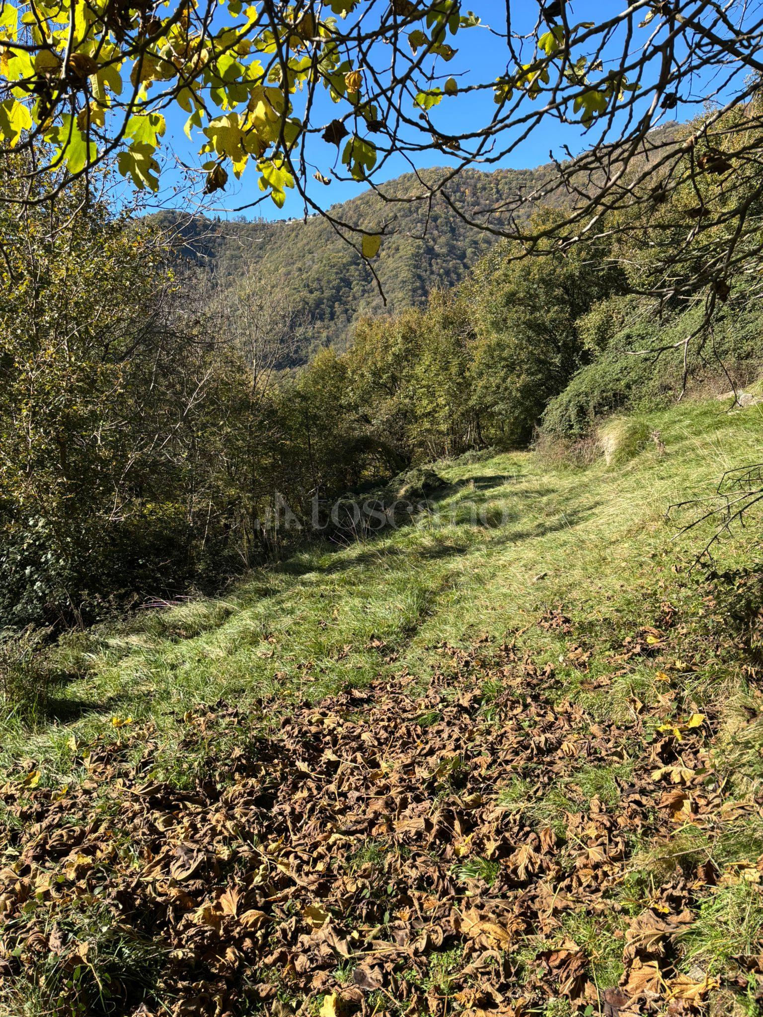 immagine annuncio 6 di 14