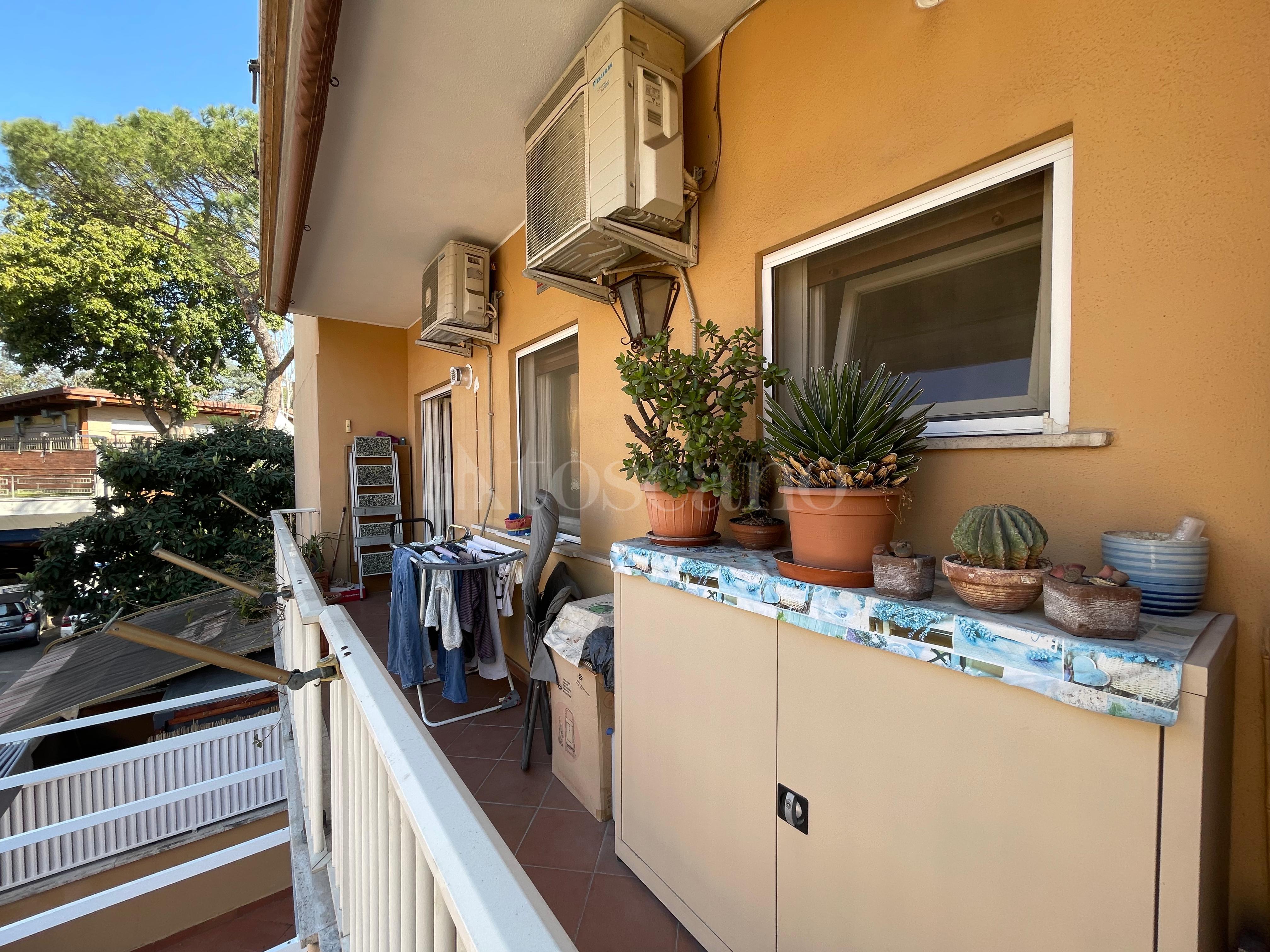 immagine annuncio 10 di 14