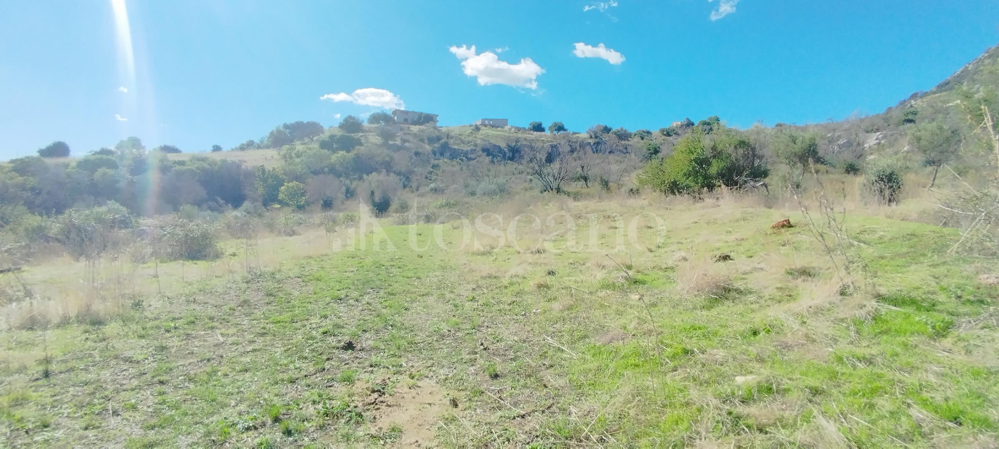 immagine annuncio 6 di 8