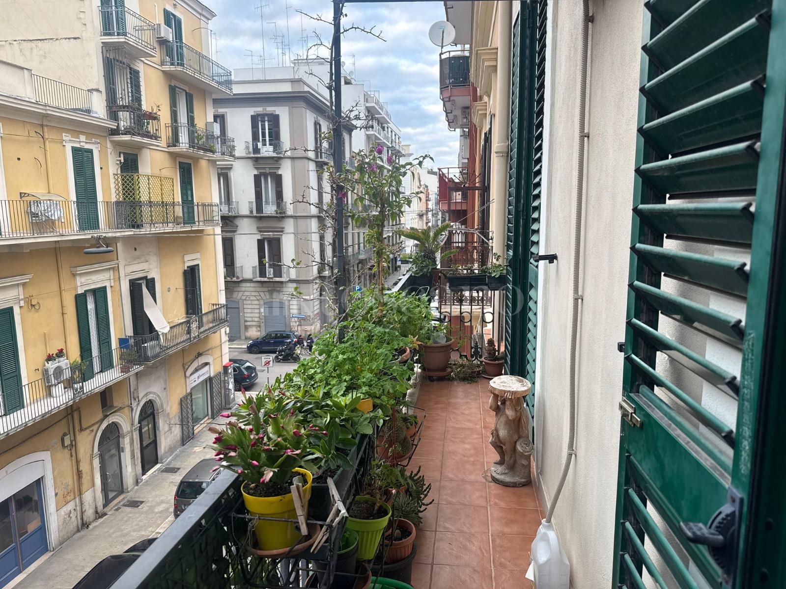 immagine annuncio 9 di 13