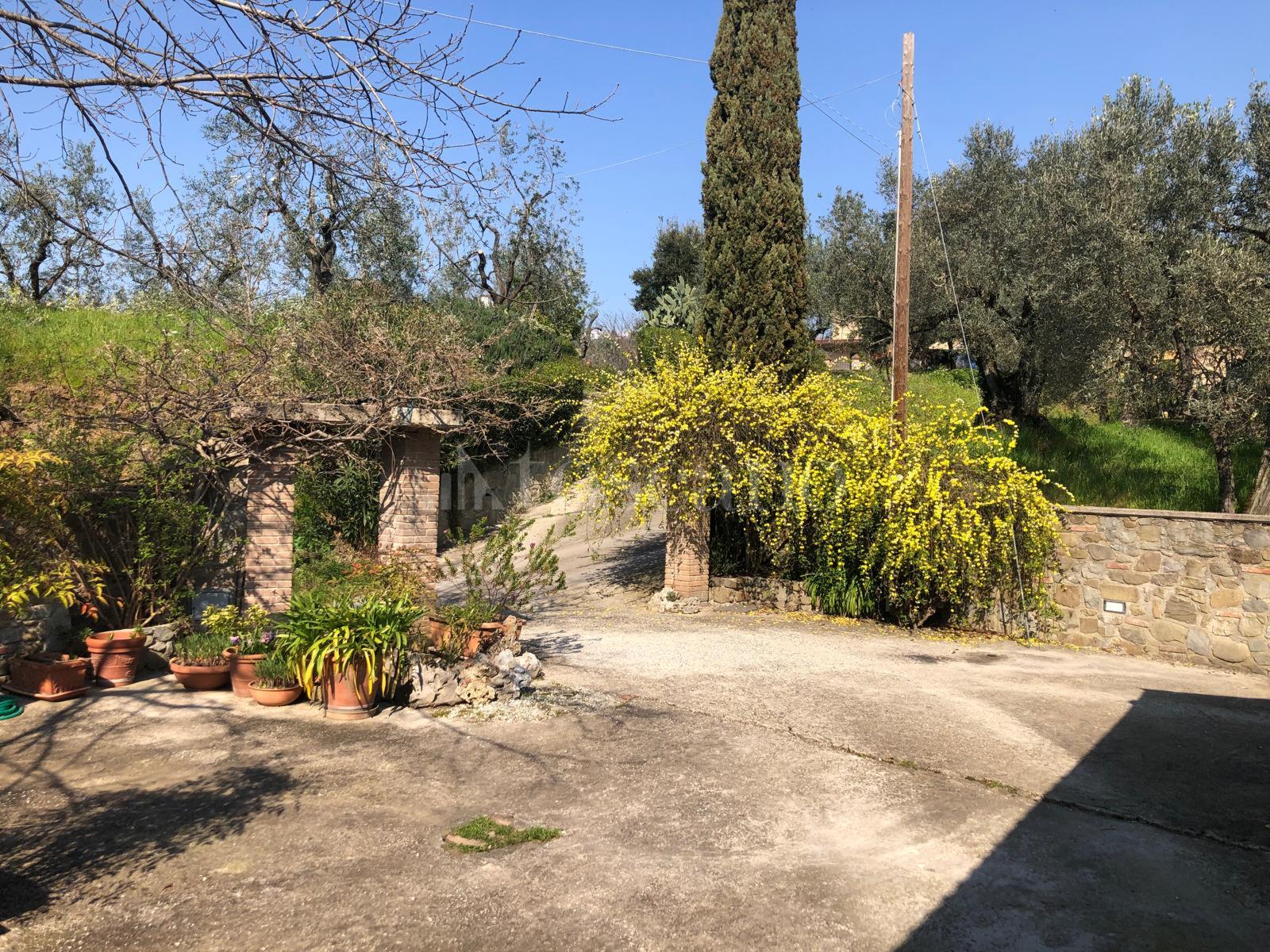 immagine annuncio 8 di 9