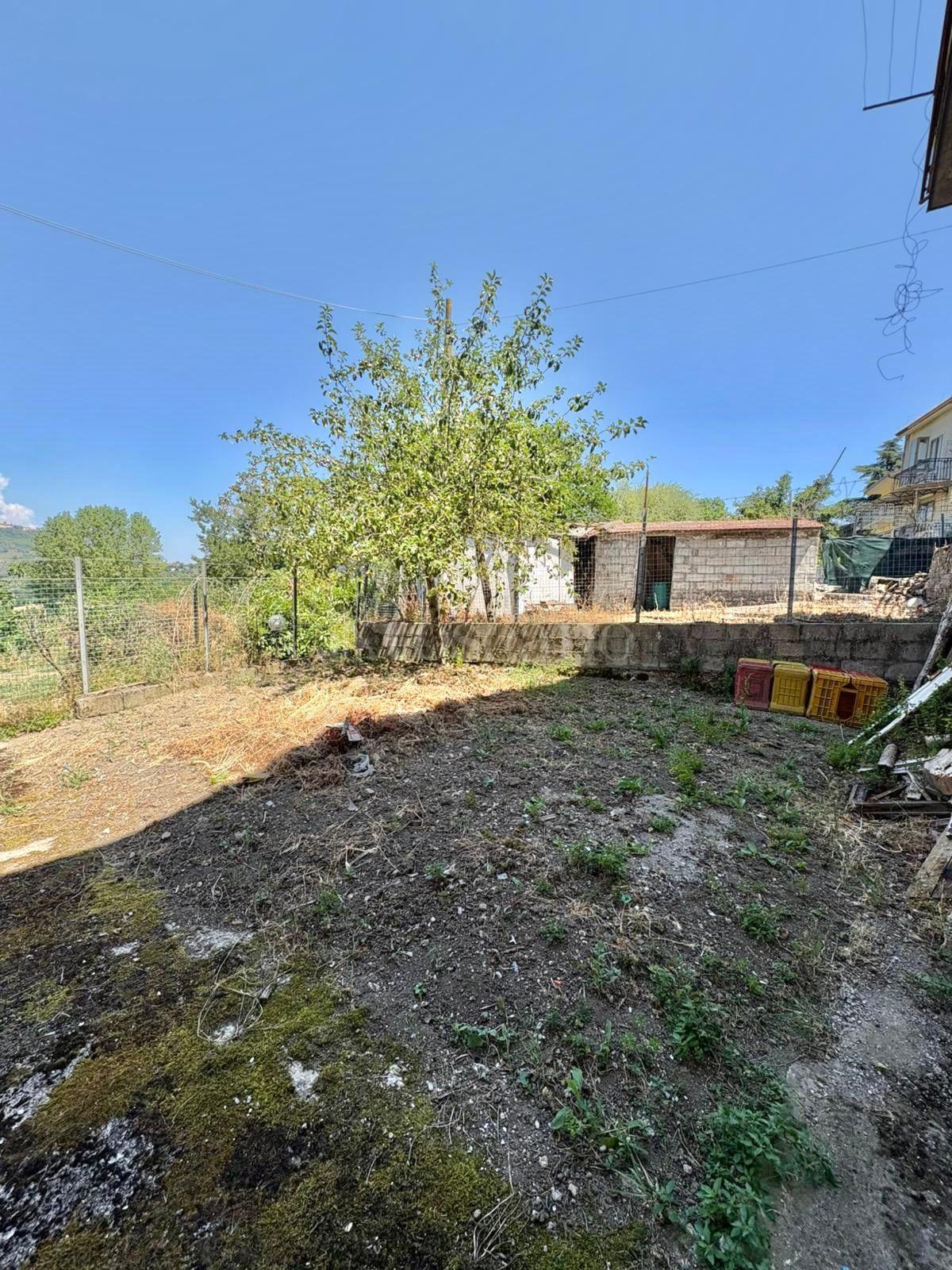 immagine annuncio 10 di 14