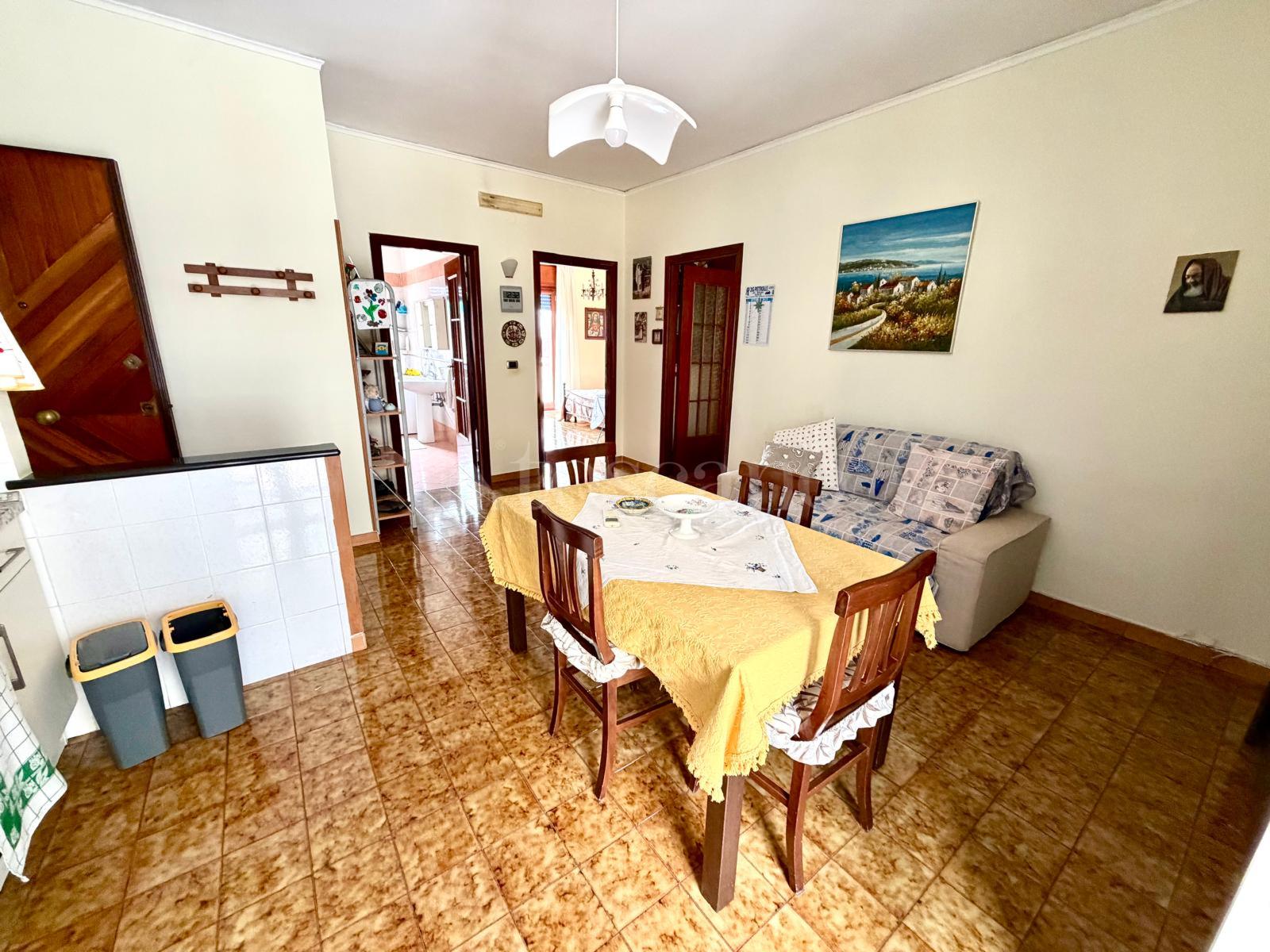 immagine annuncio 1 di 14