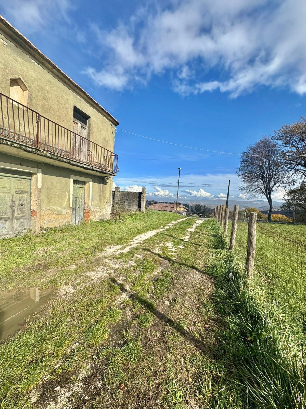 immagine annuncio 8 di 14