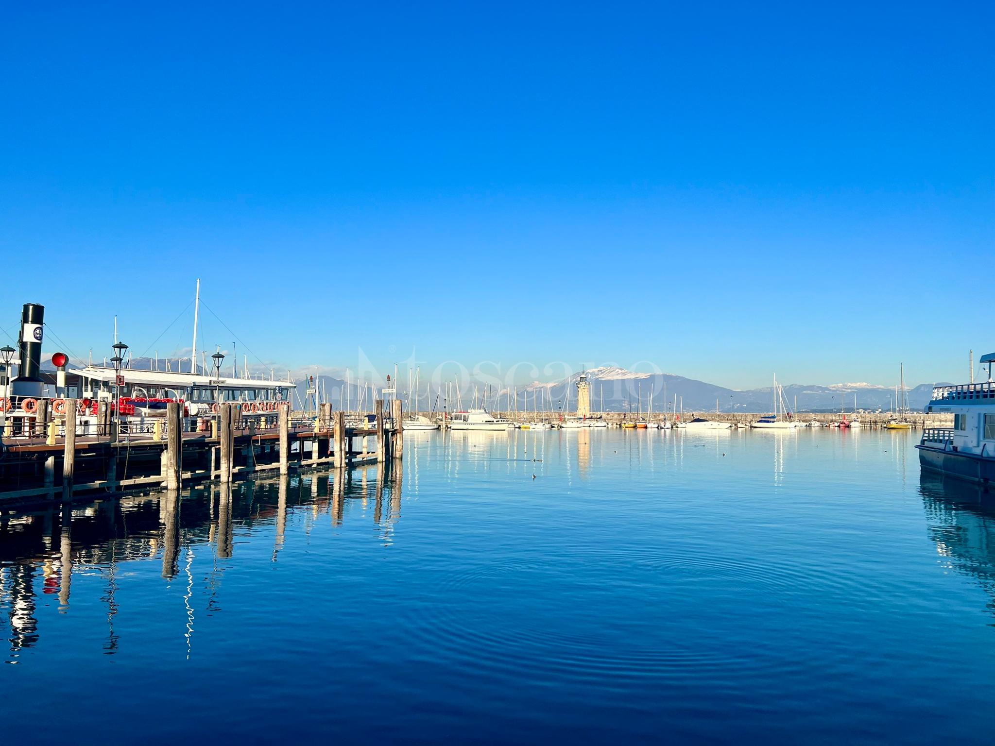 immagine annuncio 11 di 14