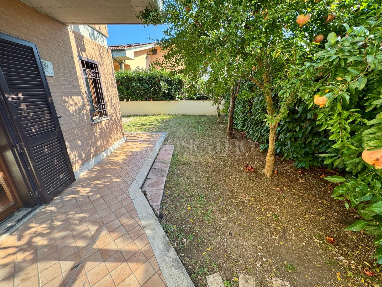 immagine annuncio 2 di 14