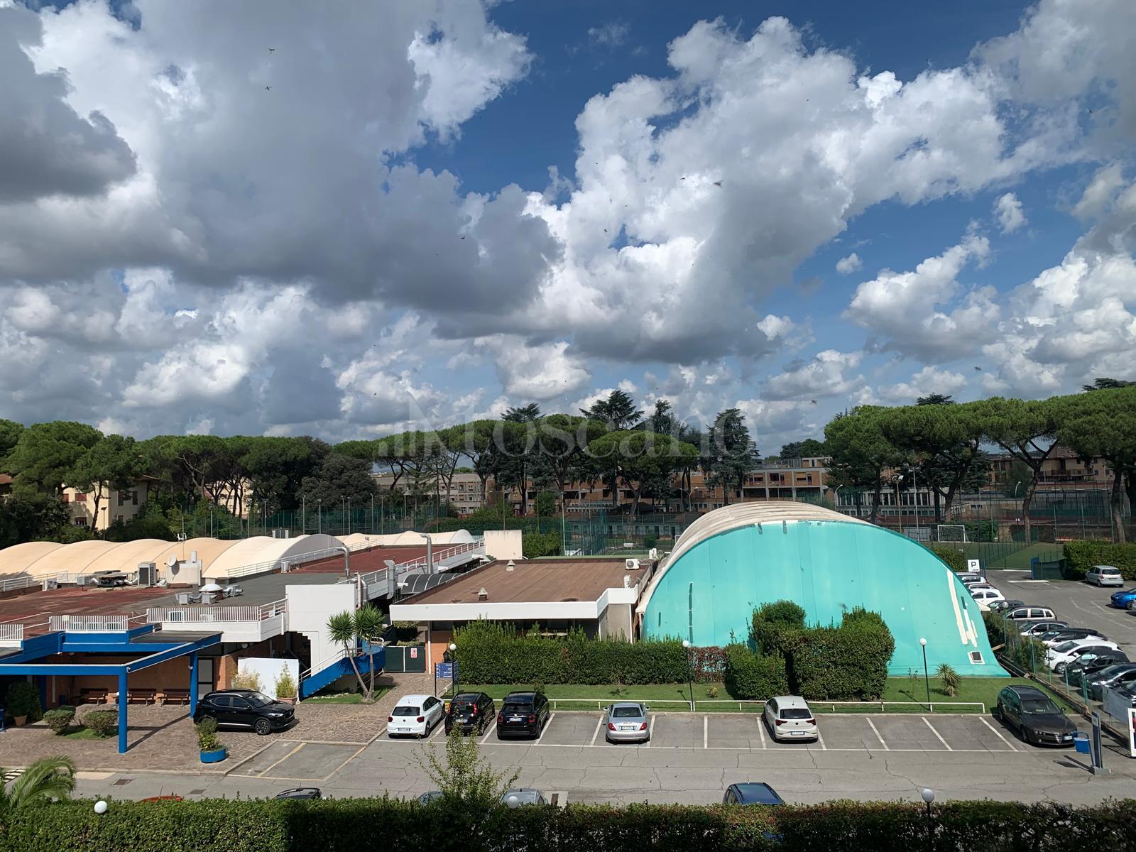 immagine annuncio 3 di 14