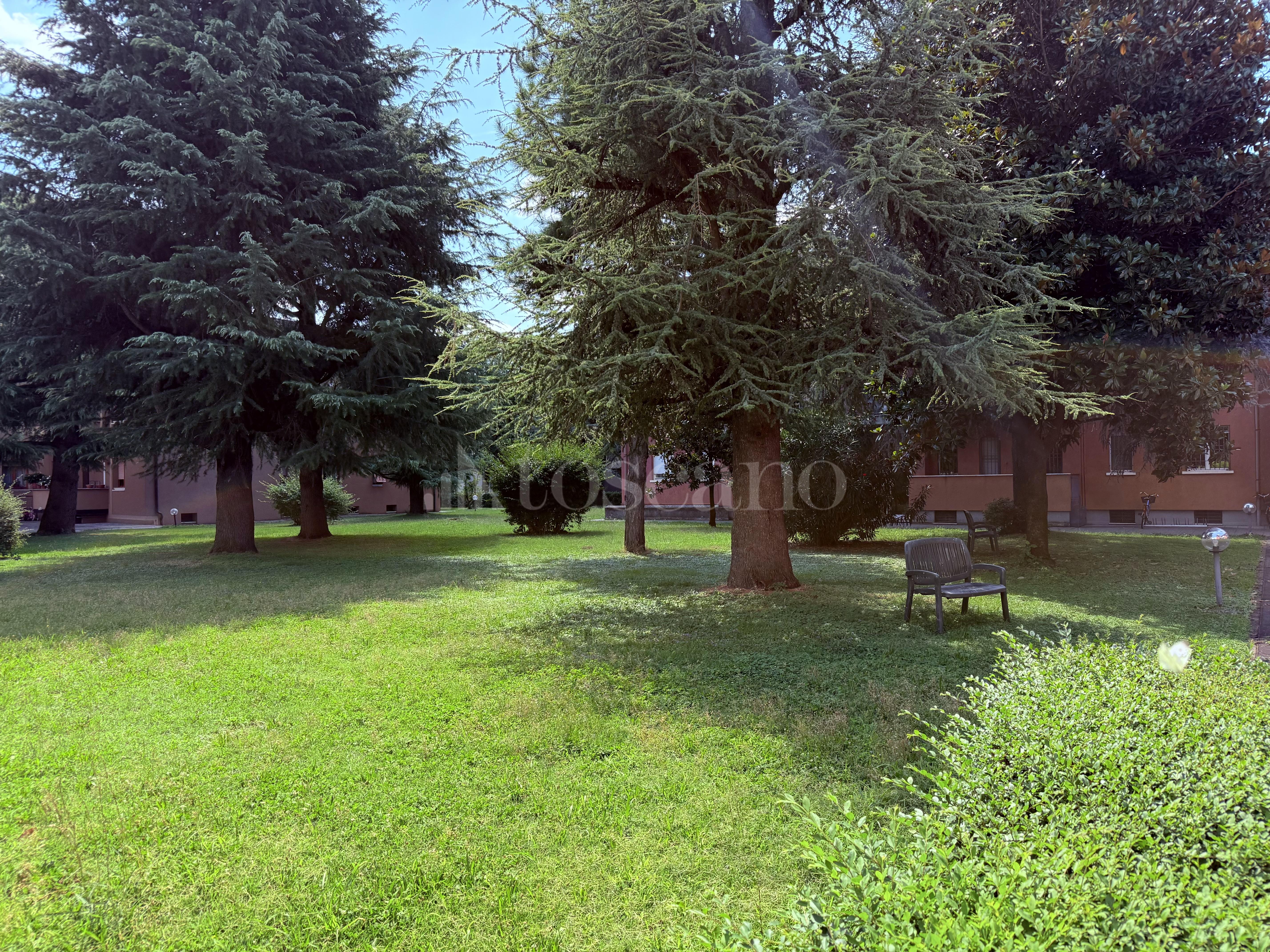 immagine annuncio 6 di 15