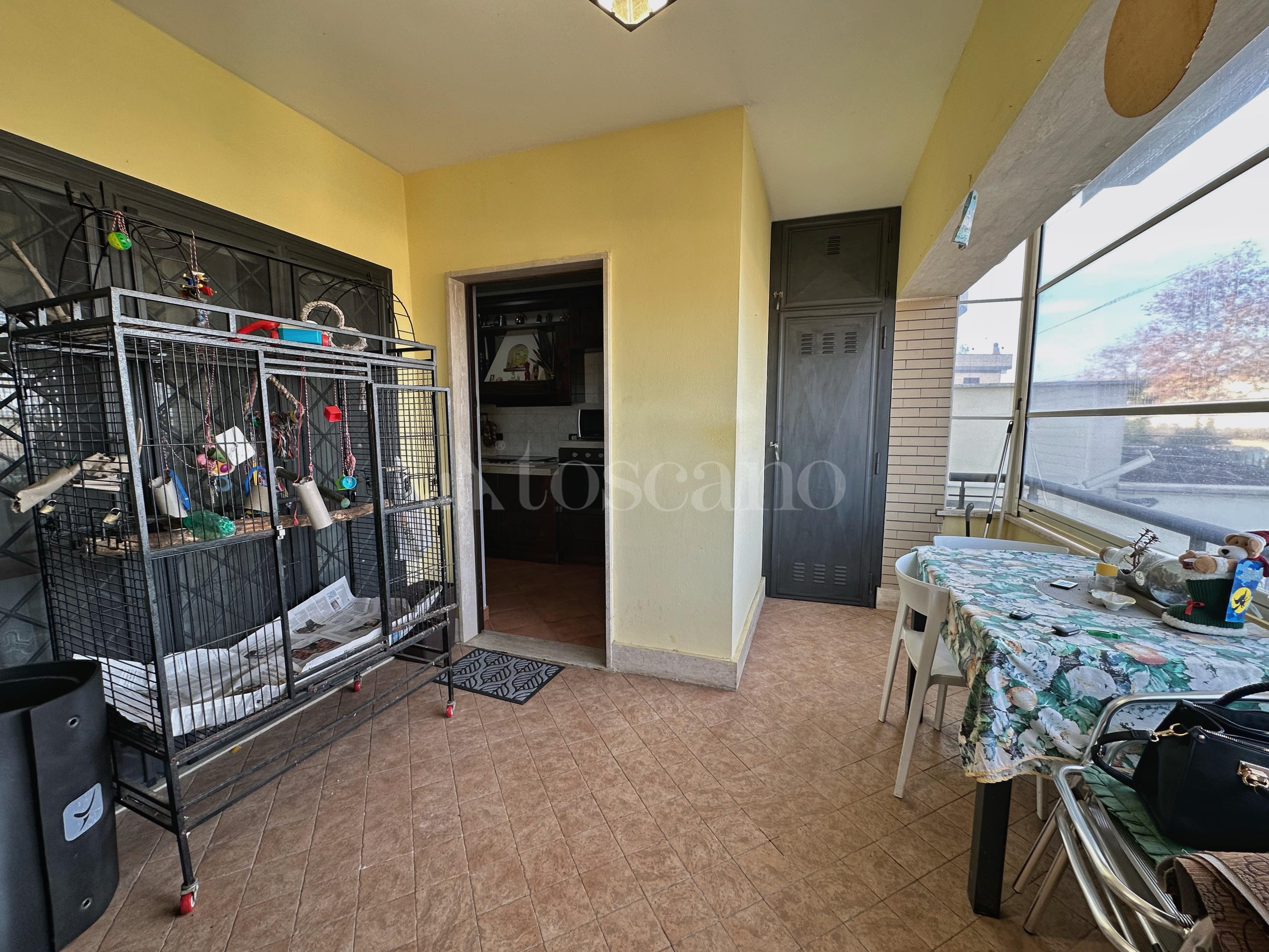 immagine annuncio 9 di 15