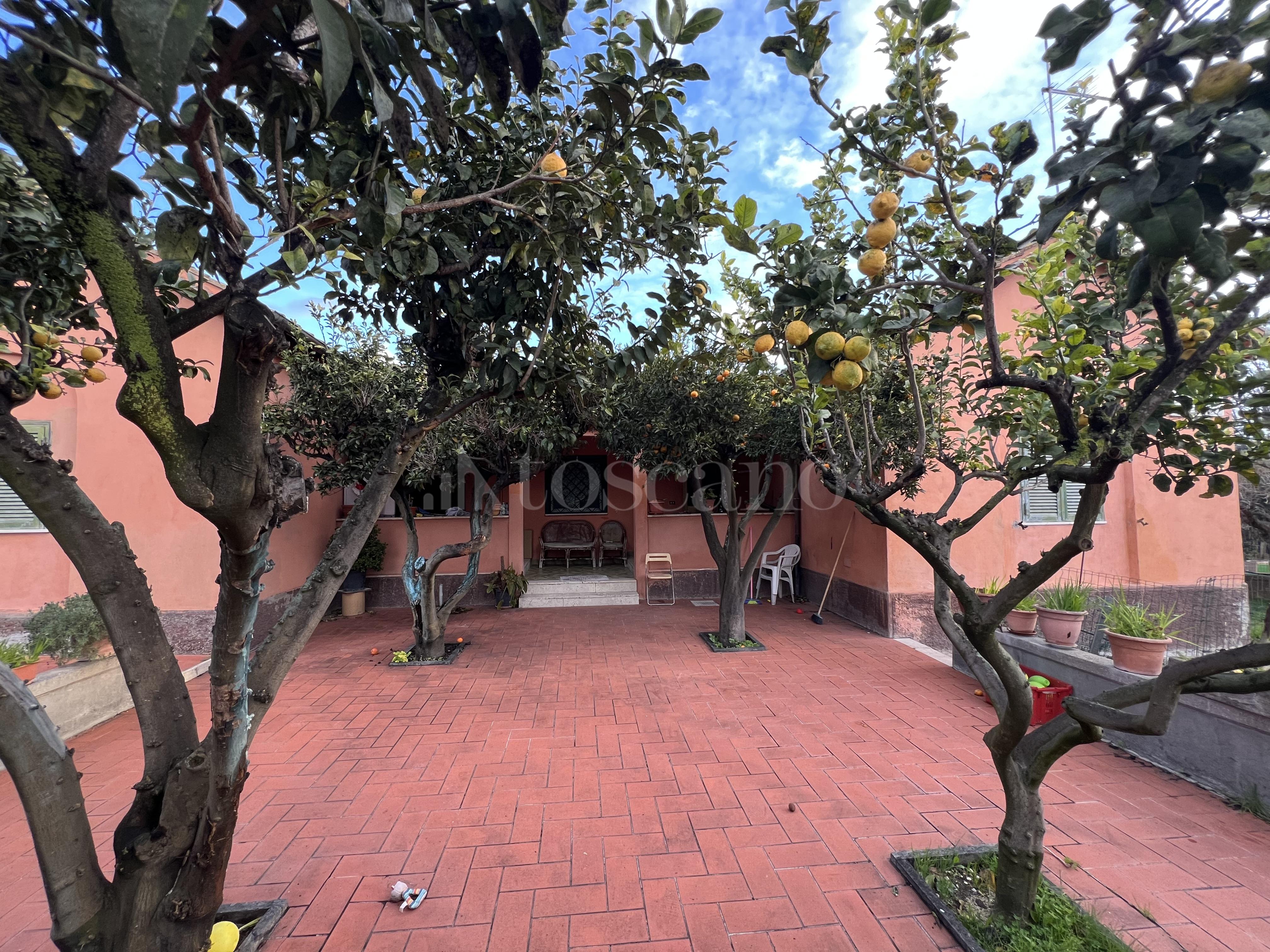 immagine annuncio 3 di 4