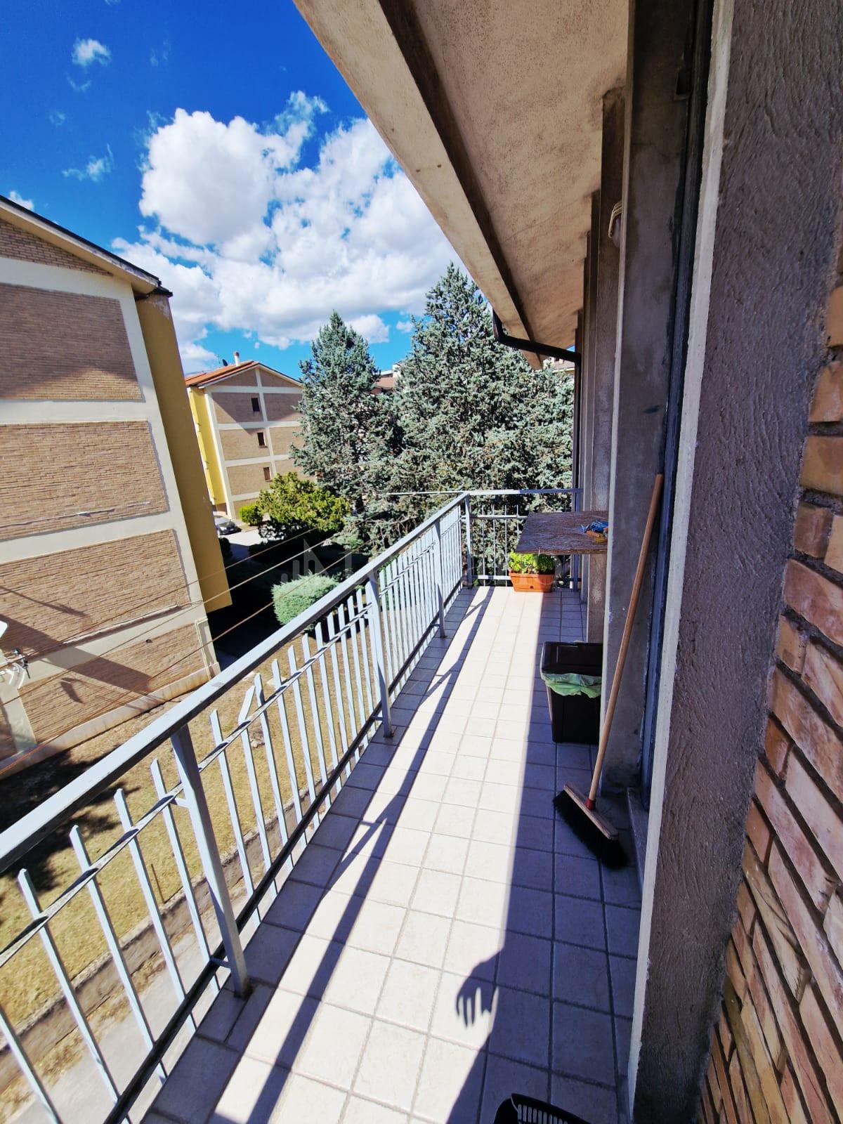 immagine annuncio 11 di 14