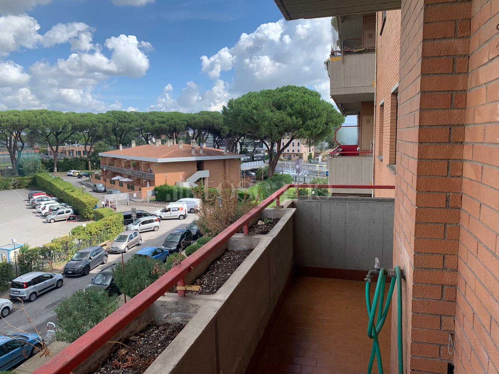 immagine annuncio 6 di 14
