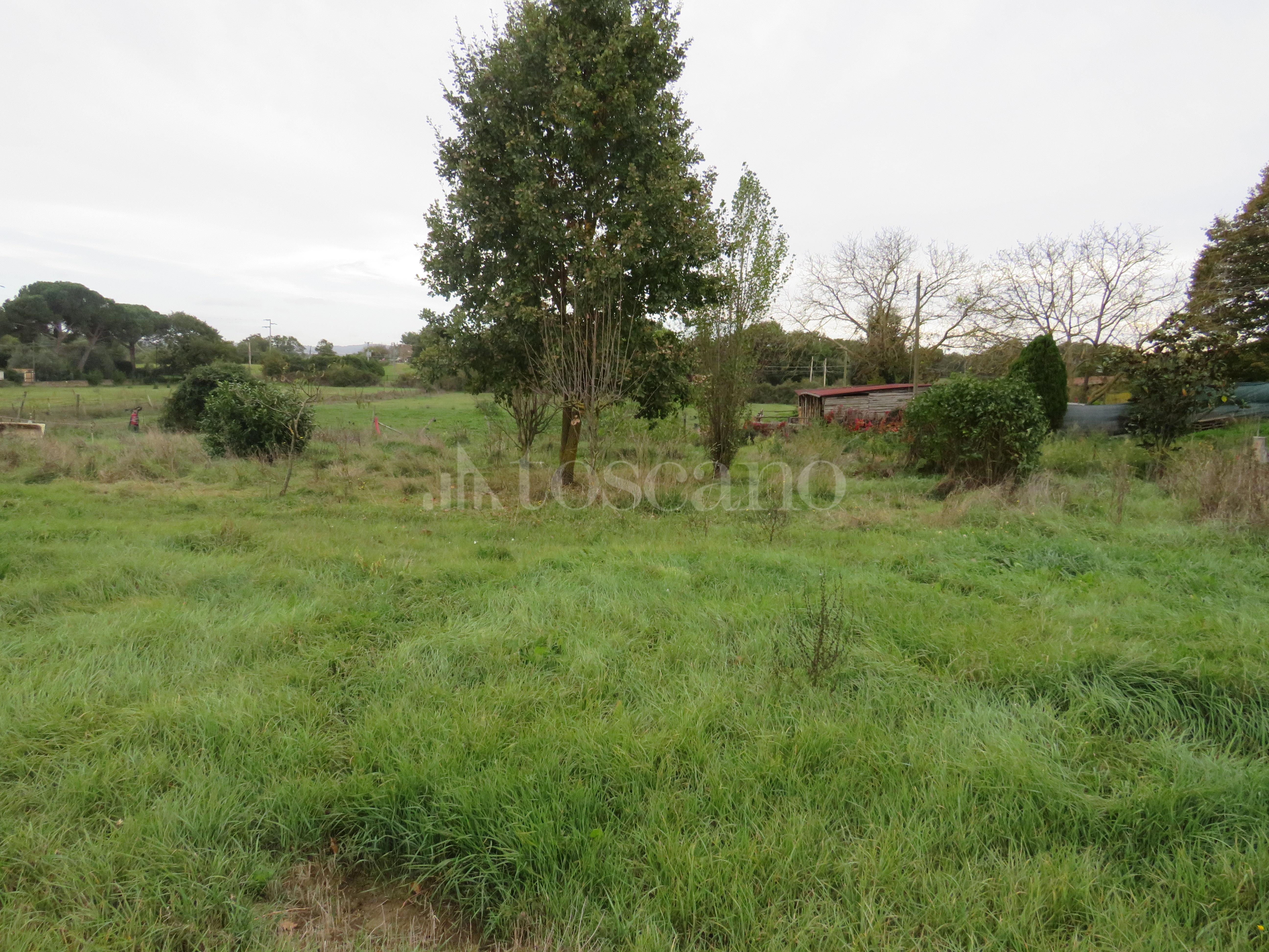 immagine annuncio 12 di 14