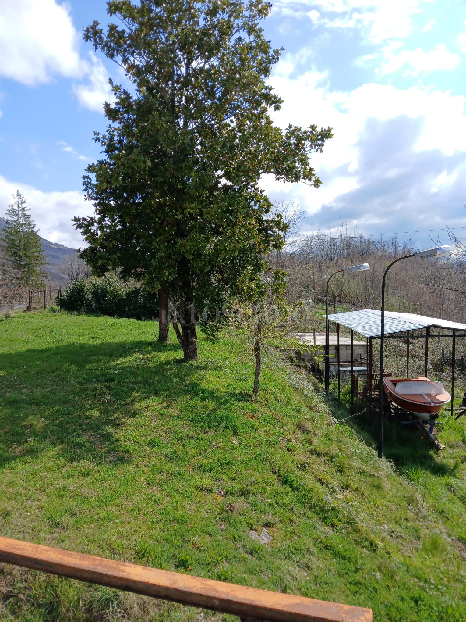 immagine annuncio 11 di 12