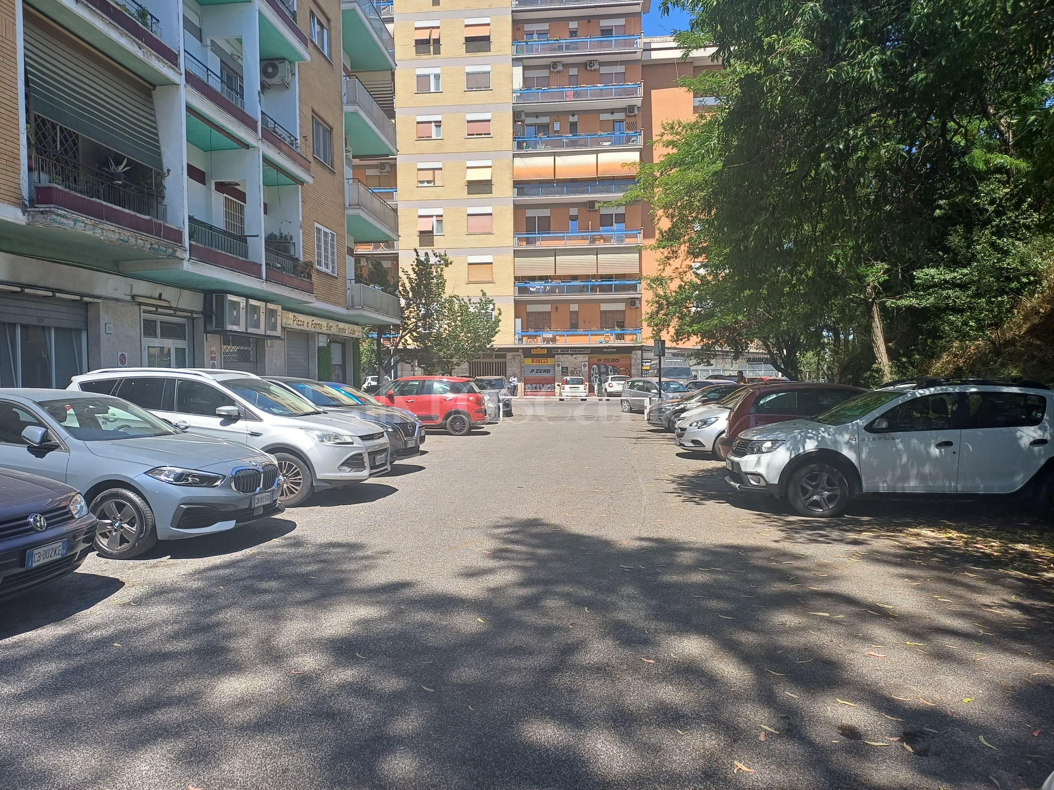 immagine annuncio 2 di 15