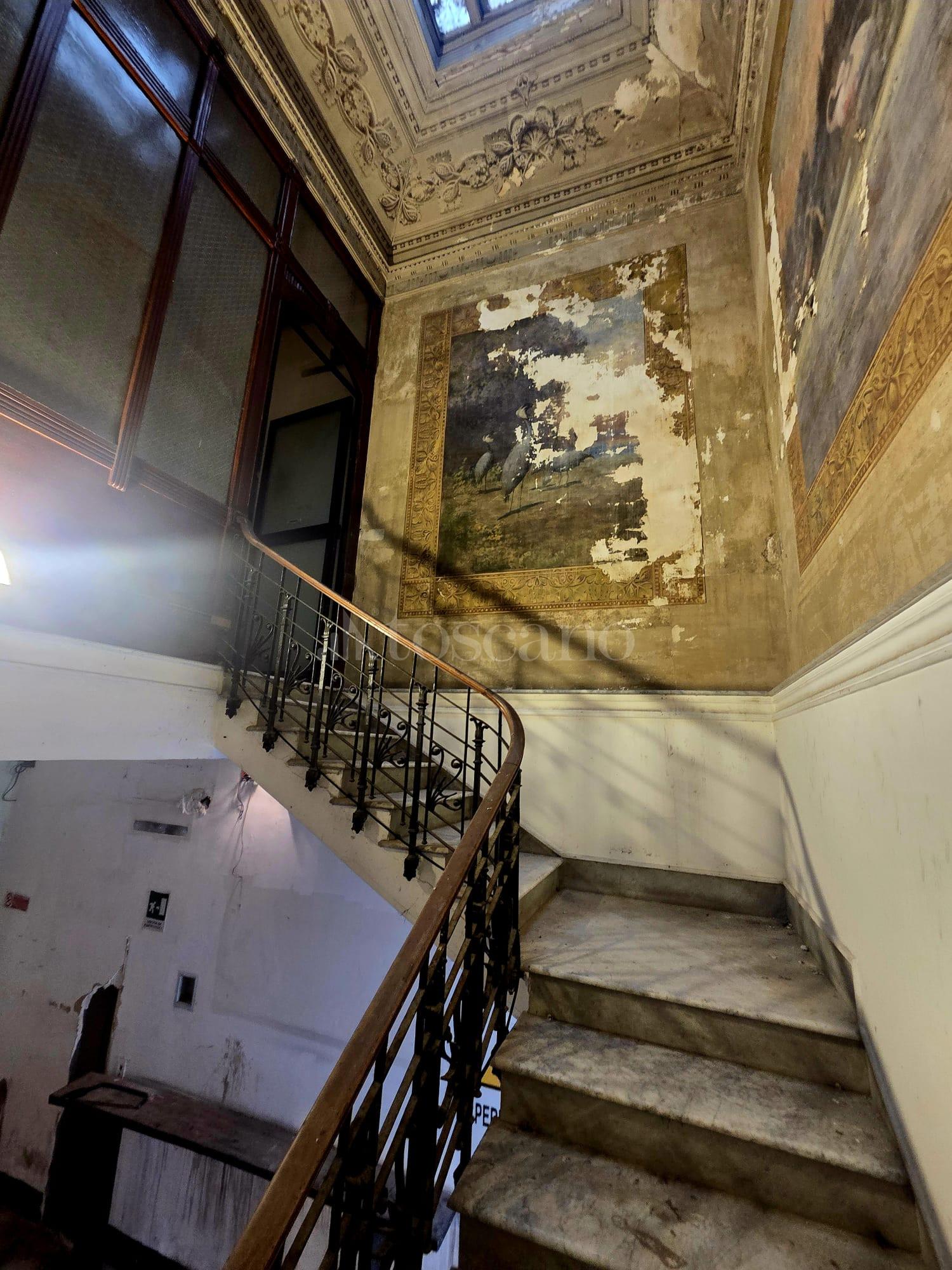 immagine annuncio 2 di 13