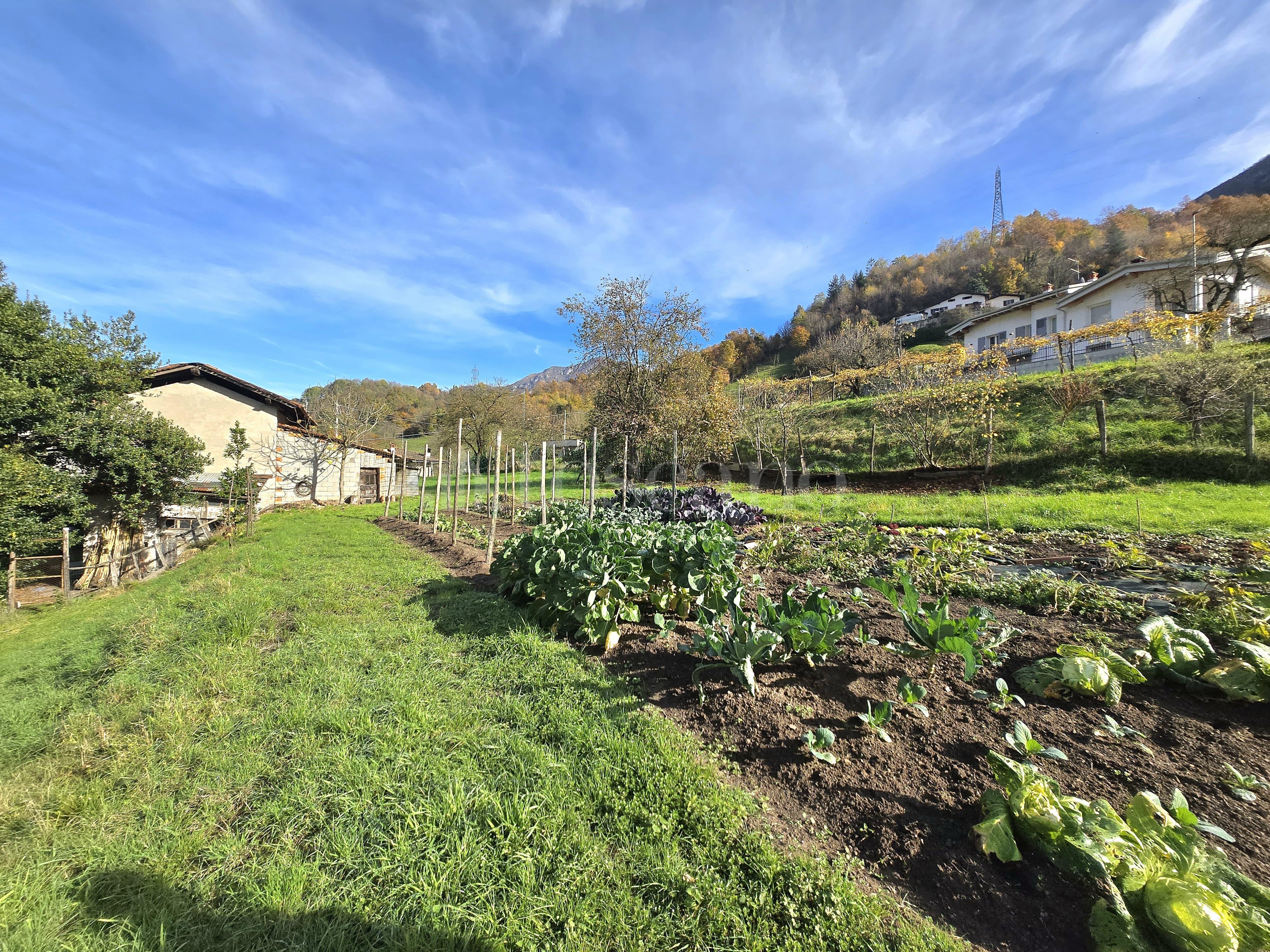 immagine annuncio 5 di 9