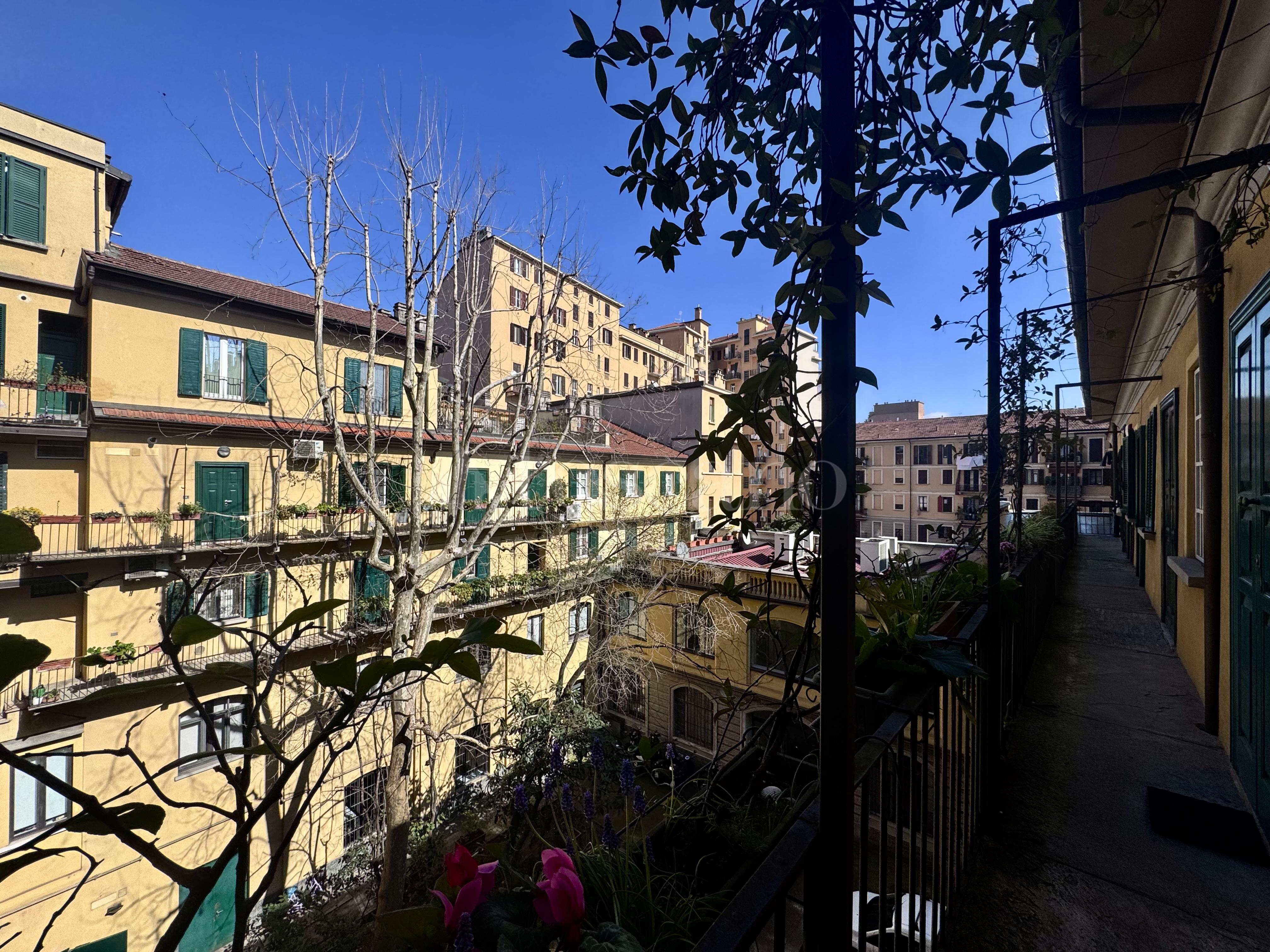 immagine annuncio 1 di 14