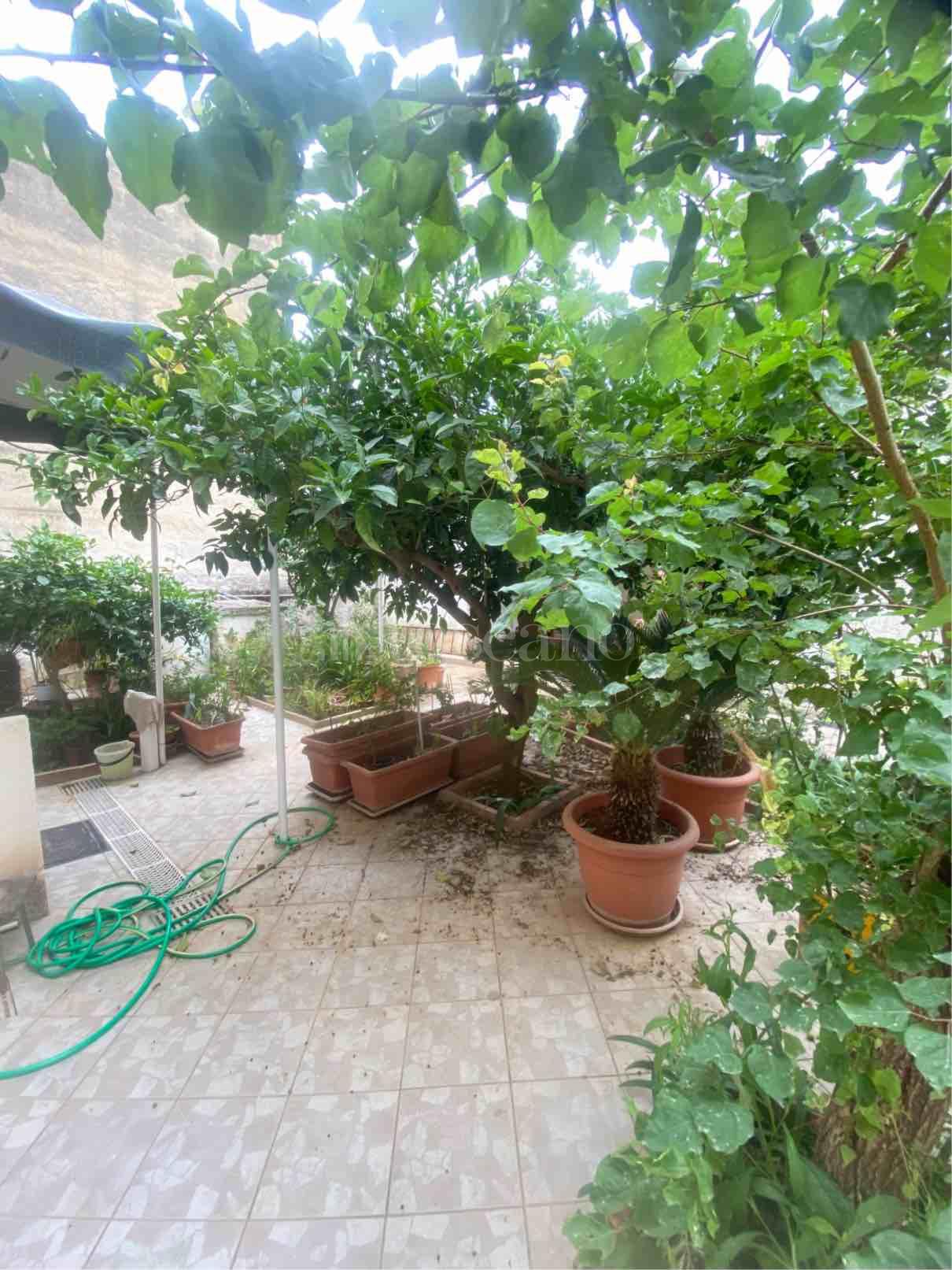 immagine annuncio 13 di 14